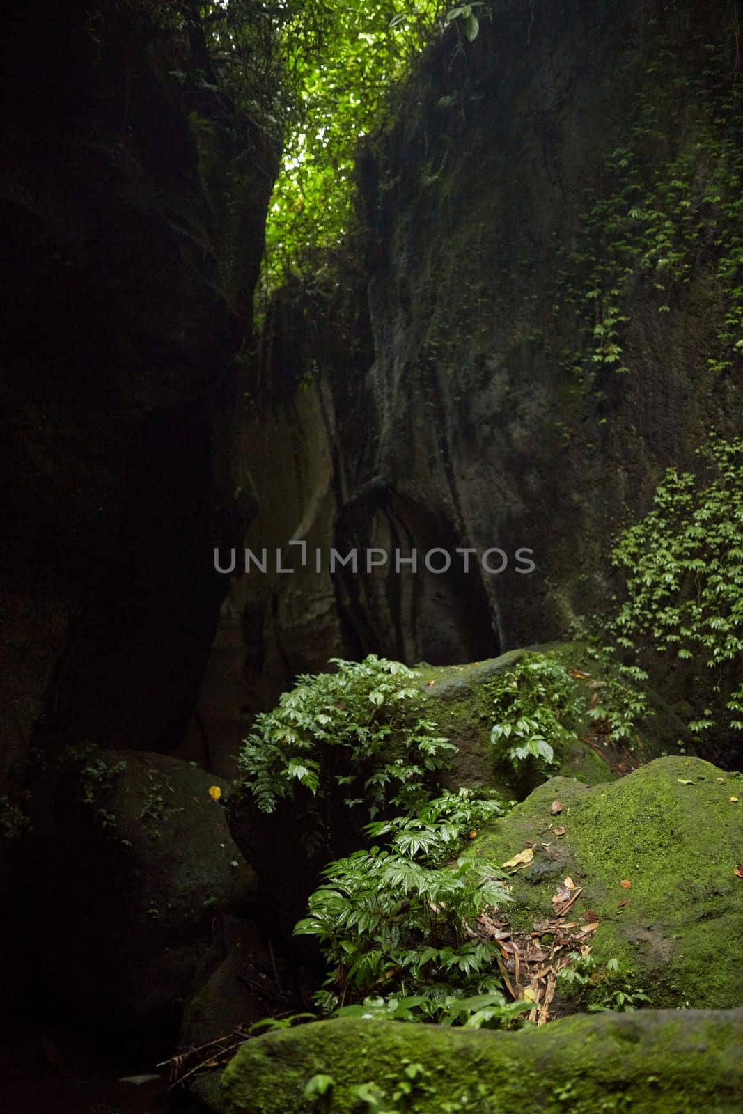 Rocks and huge boulders covered with moss in the jungle on the popular island of Bali