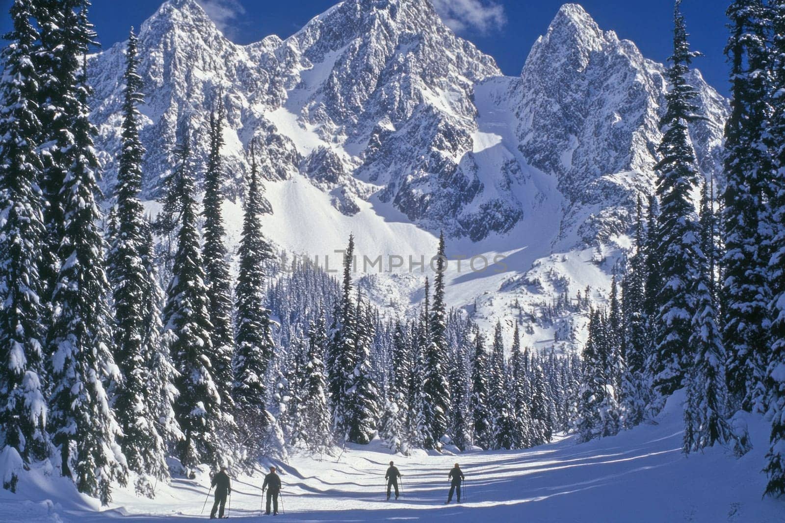 Four skiers are cross country skiing through a beautiful snowy forest with majestic mountains in the background