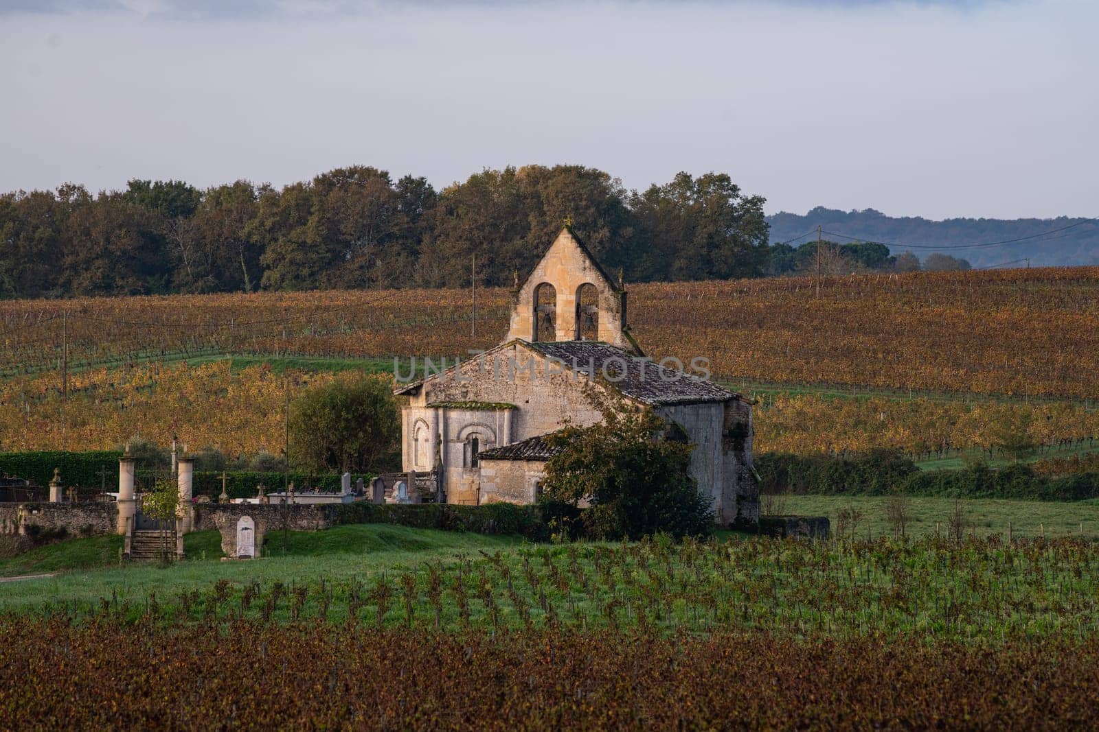FRANCE, GIRONDE, ENTRE DEUX MERS VINEYARDS, CHURCH WITH AUTUMN COLORS. High quality photo