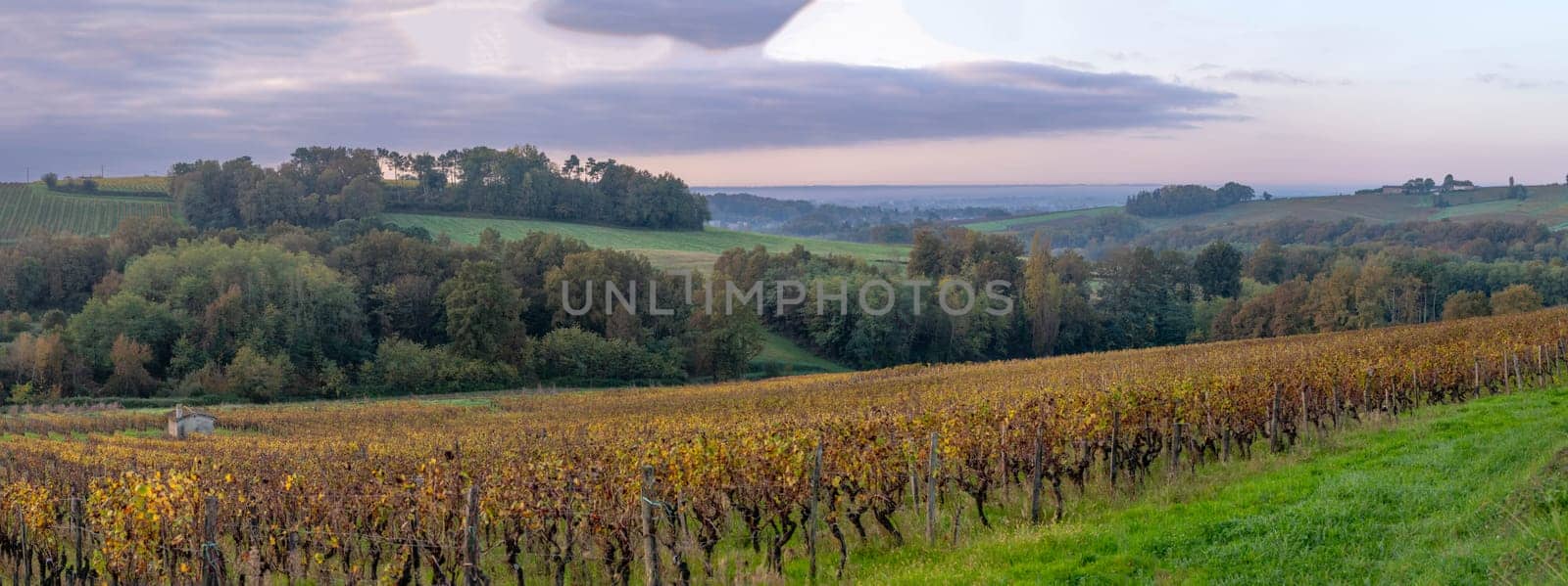 FRANCE, GIRONDE, ENTRE DEUX MERS VINEYARDS, STONE CABIN WITH AUTUMN COLORS, High quality photo