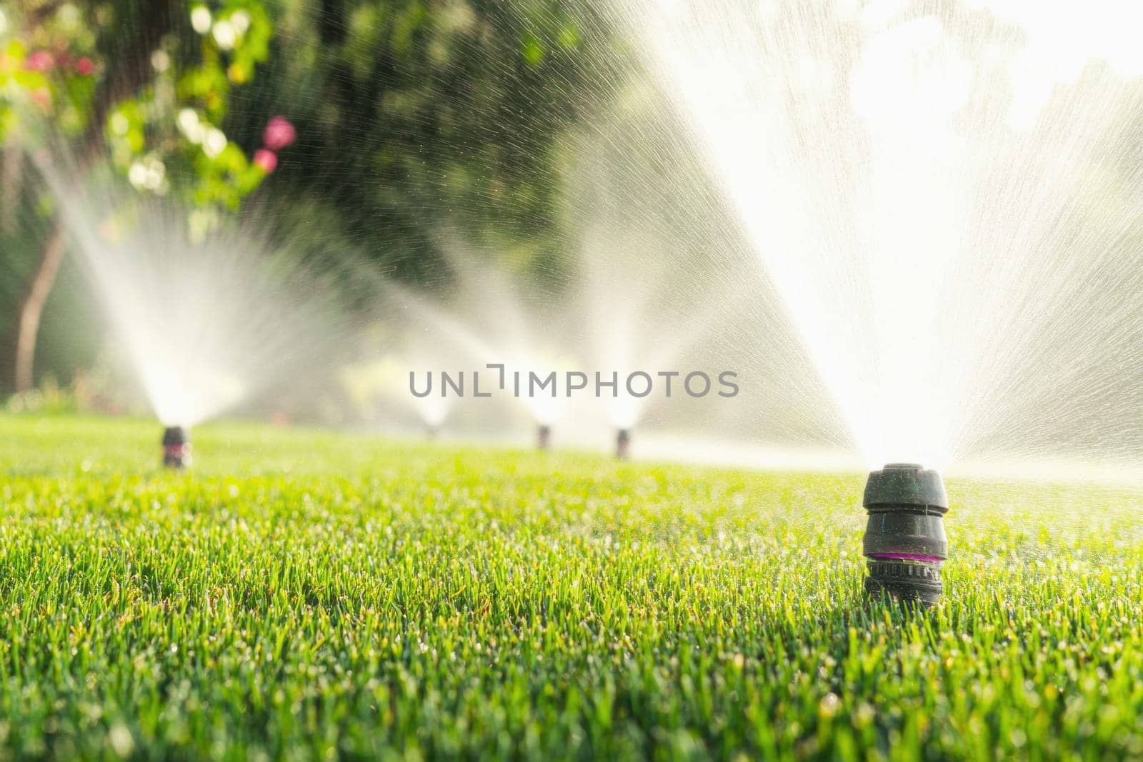 Water jets irrigating a lawn in a park on a sunny summer day
