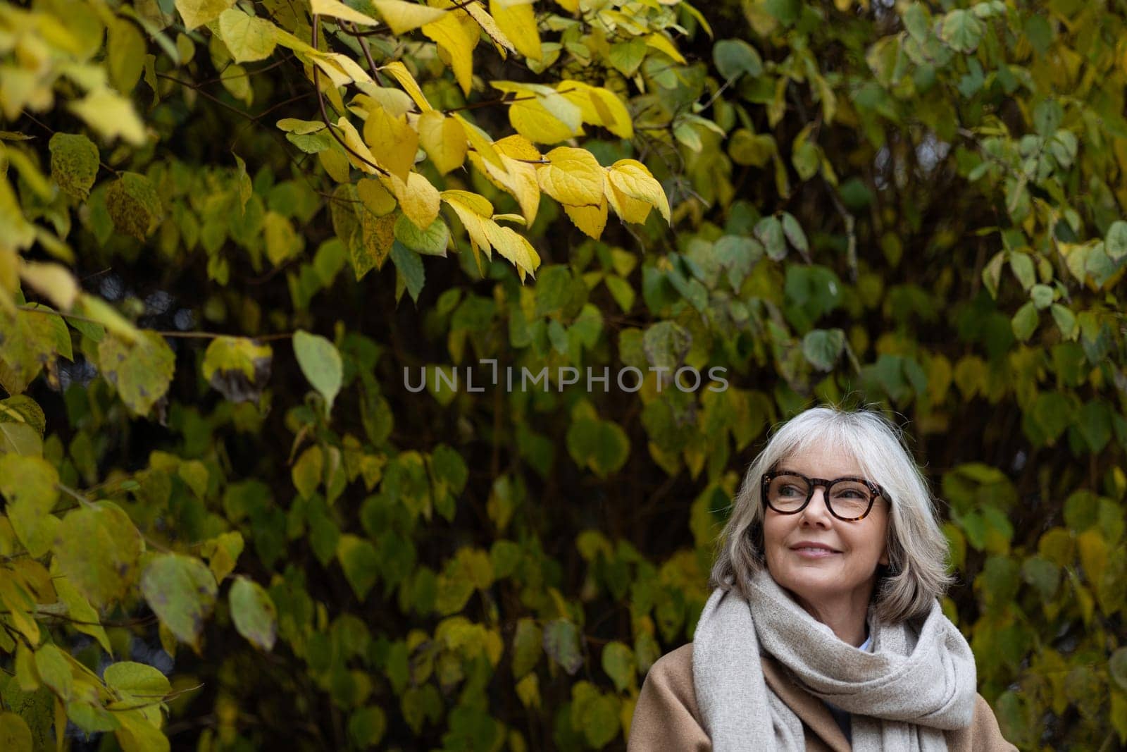 A woman with gray hair and glasses smiles while standing in a lush garden filled with yellow and green foliage. The warm autumn sunlight bathes the scene in a peaceful glow.