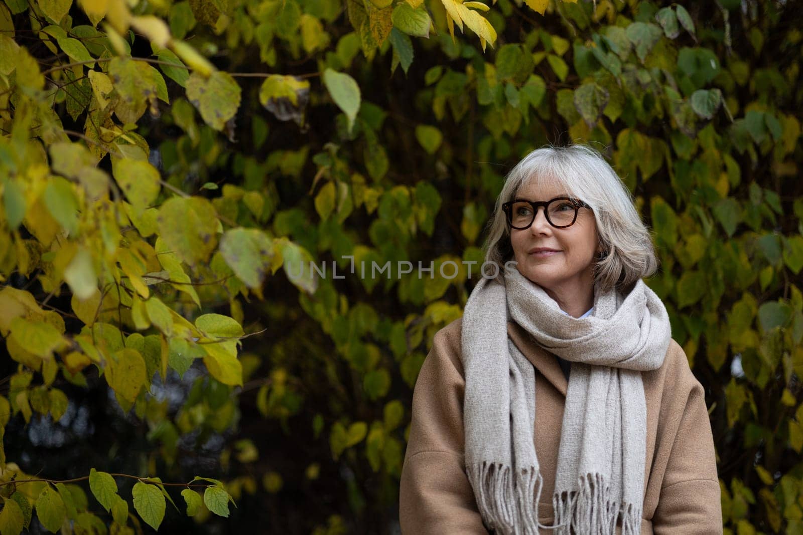 An elderly woman stands in a park surrounded by vibrant autumn leaves. She wears a warm scarf and a coat, smiling softly as she appreciates the beauty of nature in the cool air.