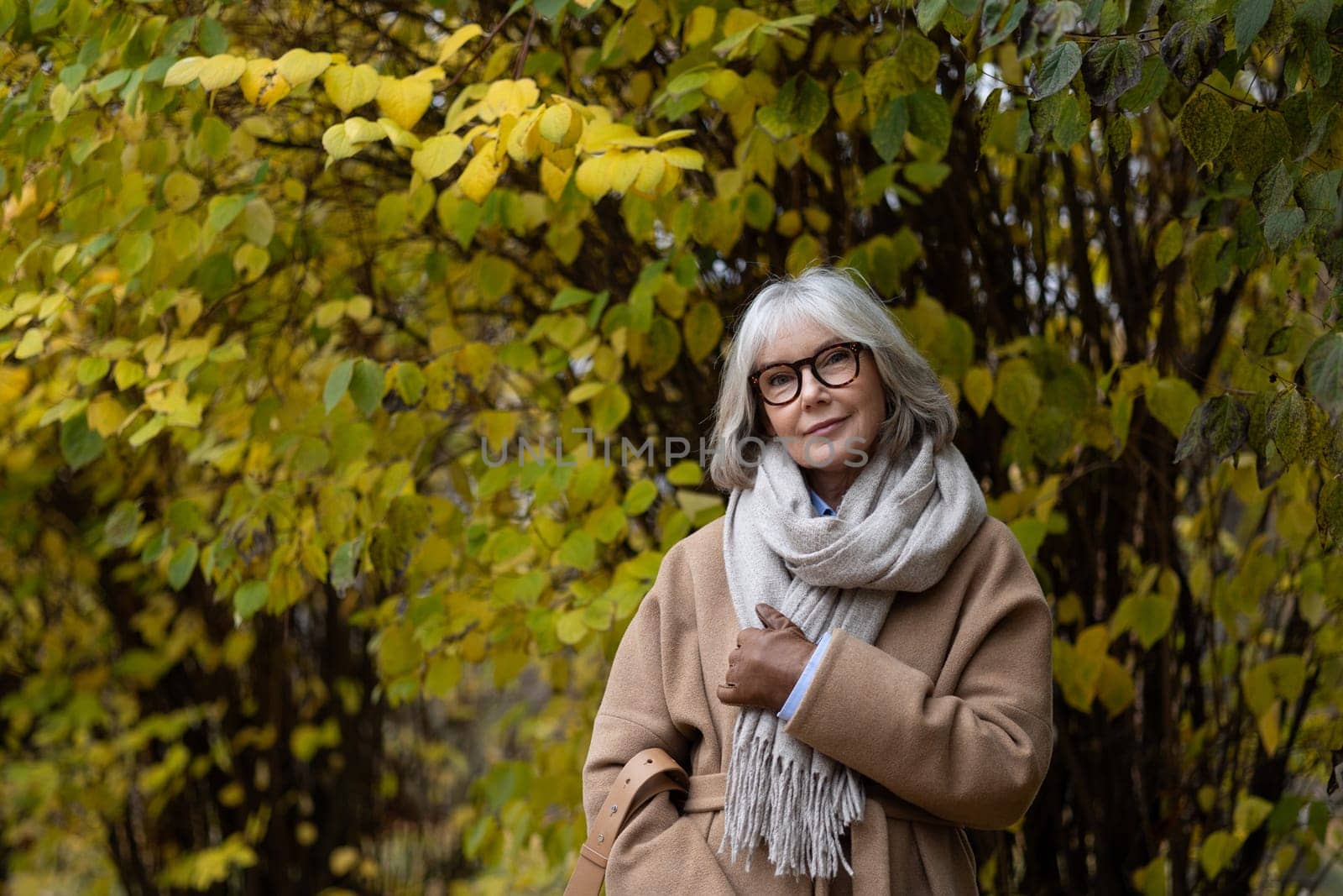 A woman with gray hair enjoys the serene beauty of a park in autumn. She wears a warm scarf and a stylish coat while standing beside bright yellow leaves, reflecting the season's charm.