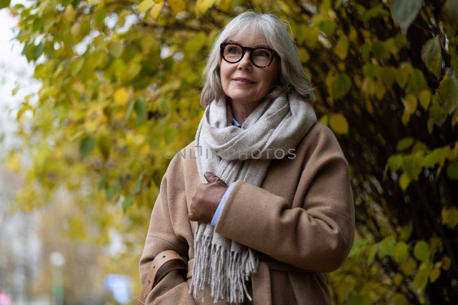 An older woman with gray hair smiles while standing amidst vibrant autumn leaves. She is dressed warmly in a coat and a cozy scarf on a cool day, enjoying the serene park atmosphere.