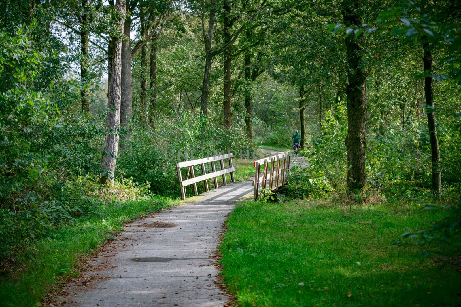green nature in holland with woman on bike by compuinfoto