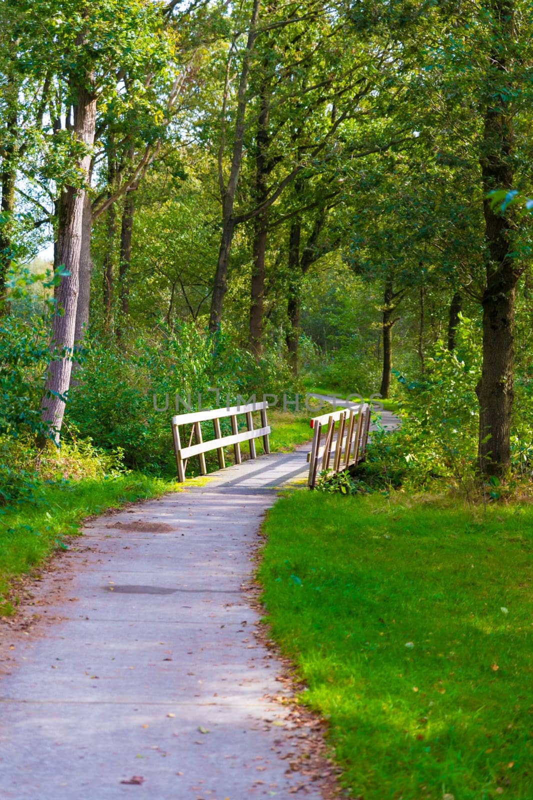 cycle path in nature in friesland in holland by compuinfoto