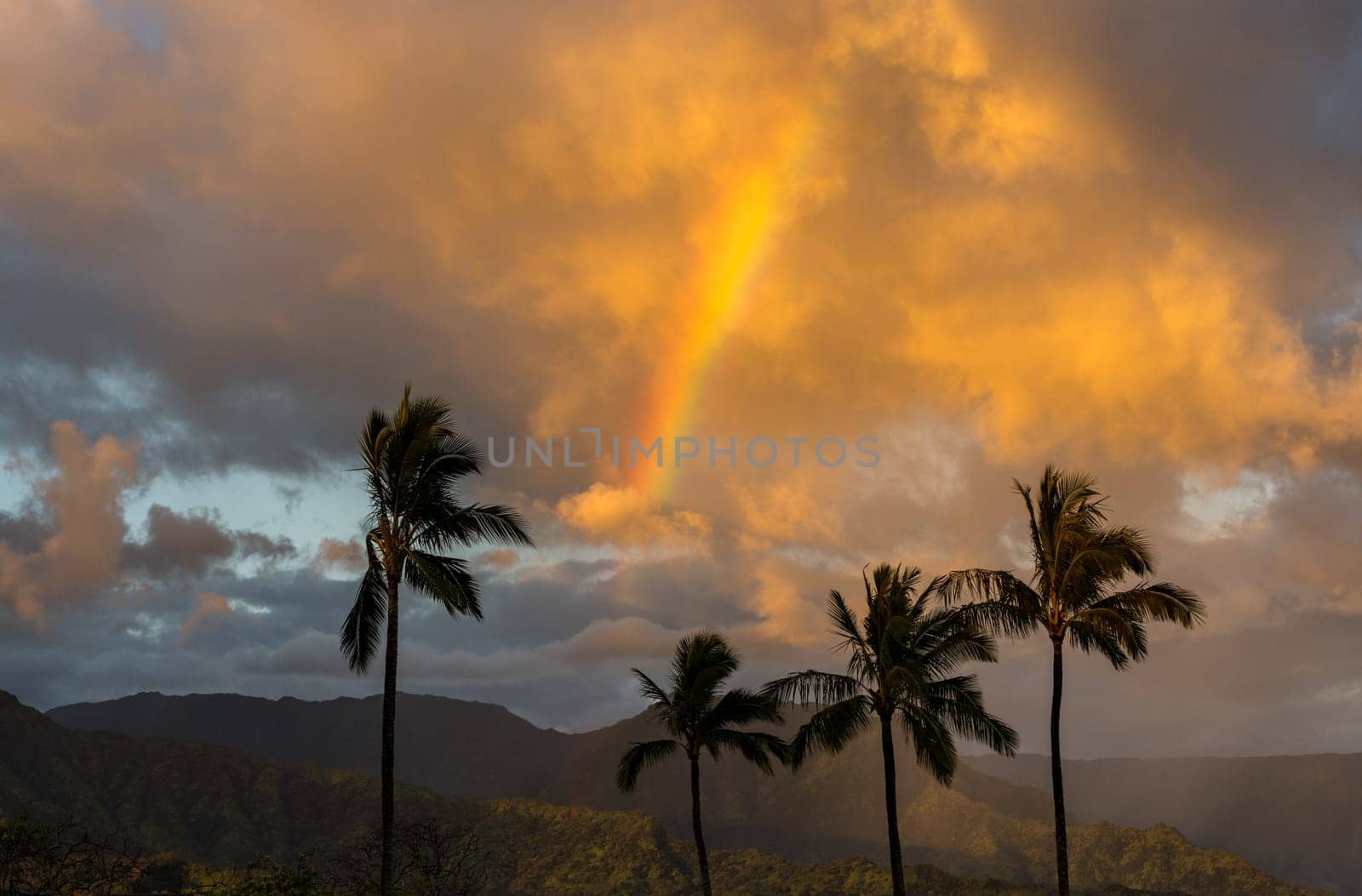 Sunrise illuminates storm clouds and rainbow over Hanalei mountains from Princeville overlook of bay