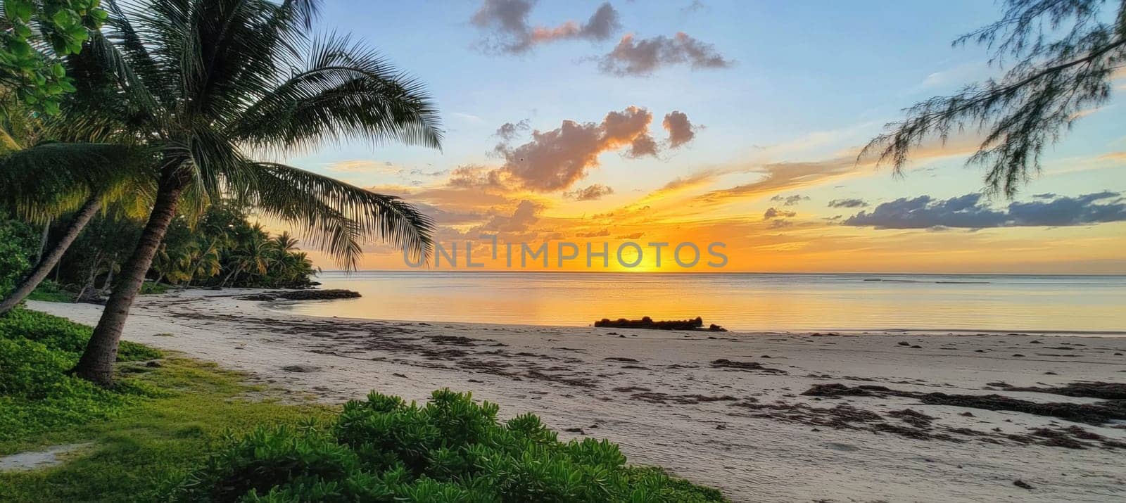 Golden hour sunset illuminates a beautiful tropical beach with palm trees, vegetation, and calm ocean waters