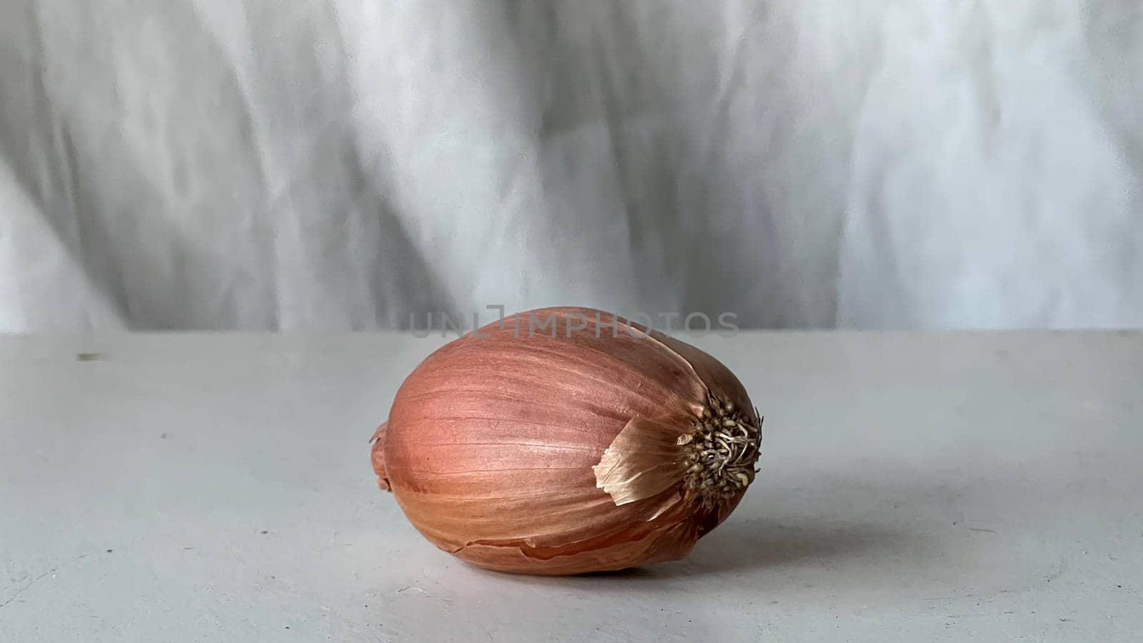 A single shallot is placed on a kitchen counter, showcasing its smooth skin and shape.