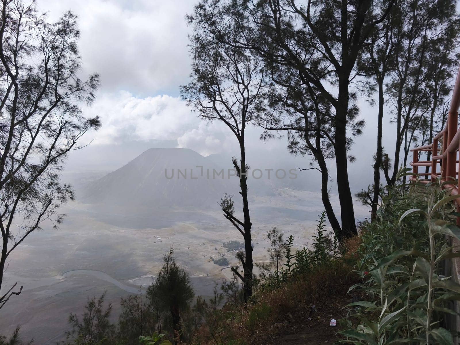 A misty mountain landscape with a foreground of dense vegetation and a hint of a tree line in the distance near Bromo Mountain, Indonesia