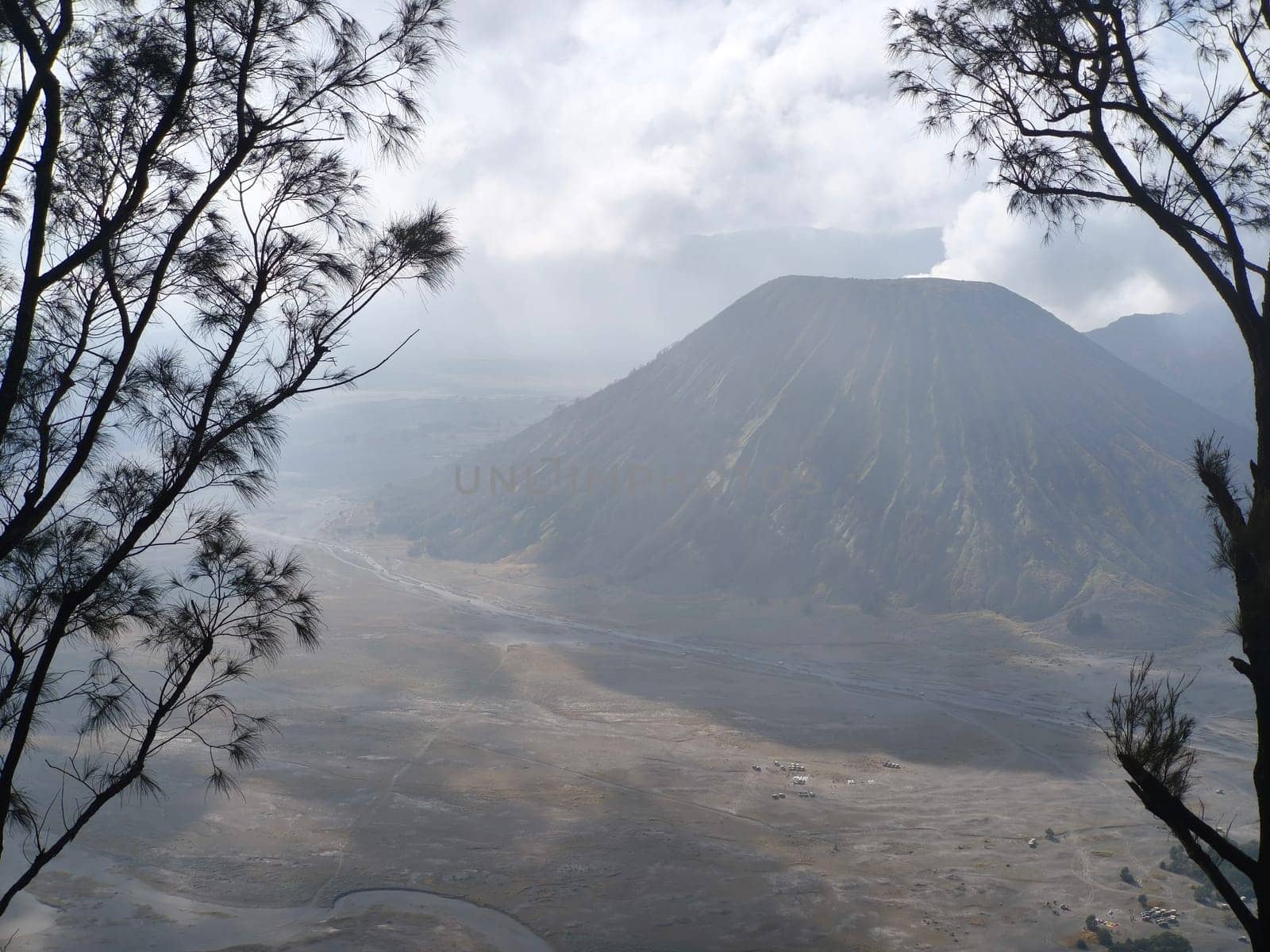 A misty mountain landscape with a foreground of dense vegetation and a hint of a tree line in the distance near Bromo Mountain, Indonesia