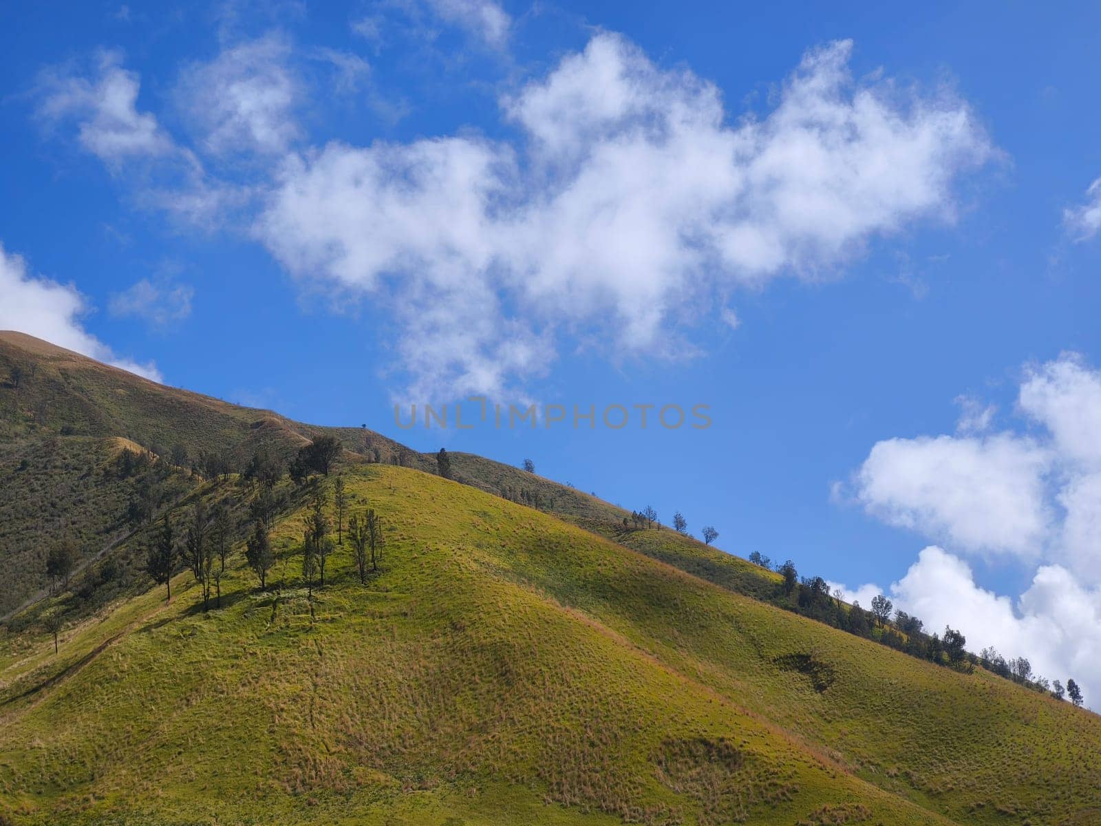 A majestic view of the Bromo Tengger Semeru National Park. The iconic Mount Bromo stands tall with its distinctive crater, surrounded by a vast expanse of volcanic sand and a clear blue sky dotted with fluffy clouds.