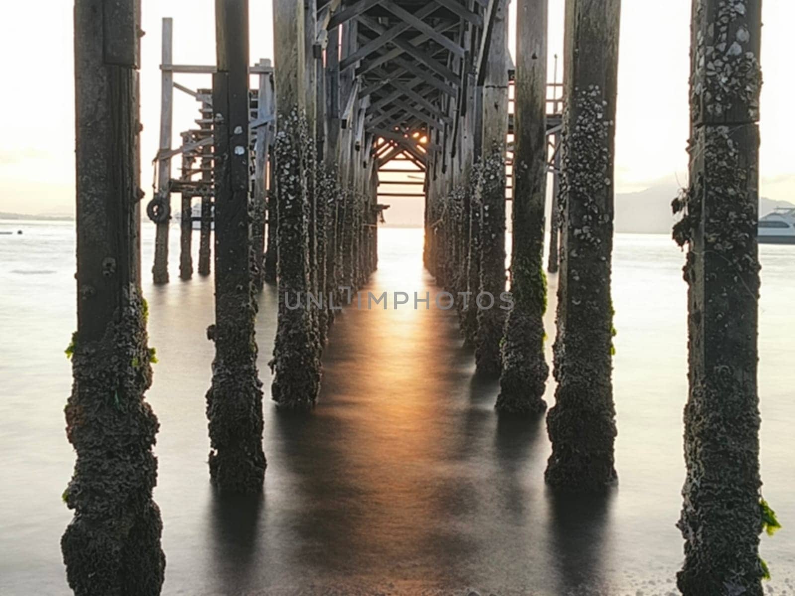 A weathered wooden pier extends into the water at sunrise, with barnacles clinging to the support posts near Banyuwangi, Indonesia