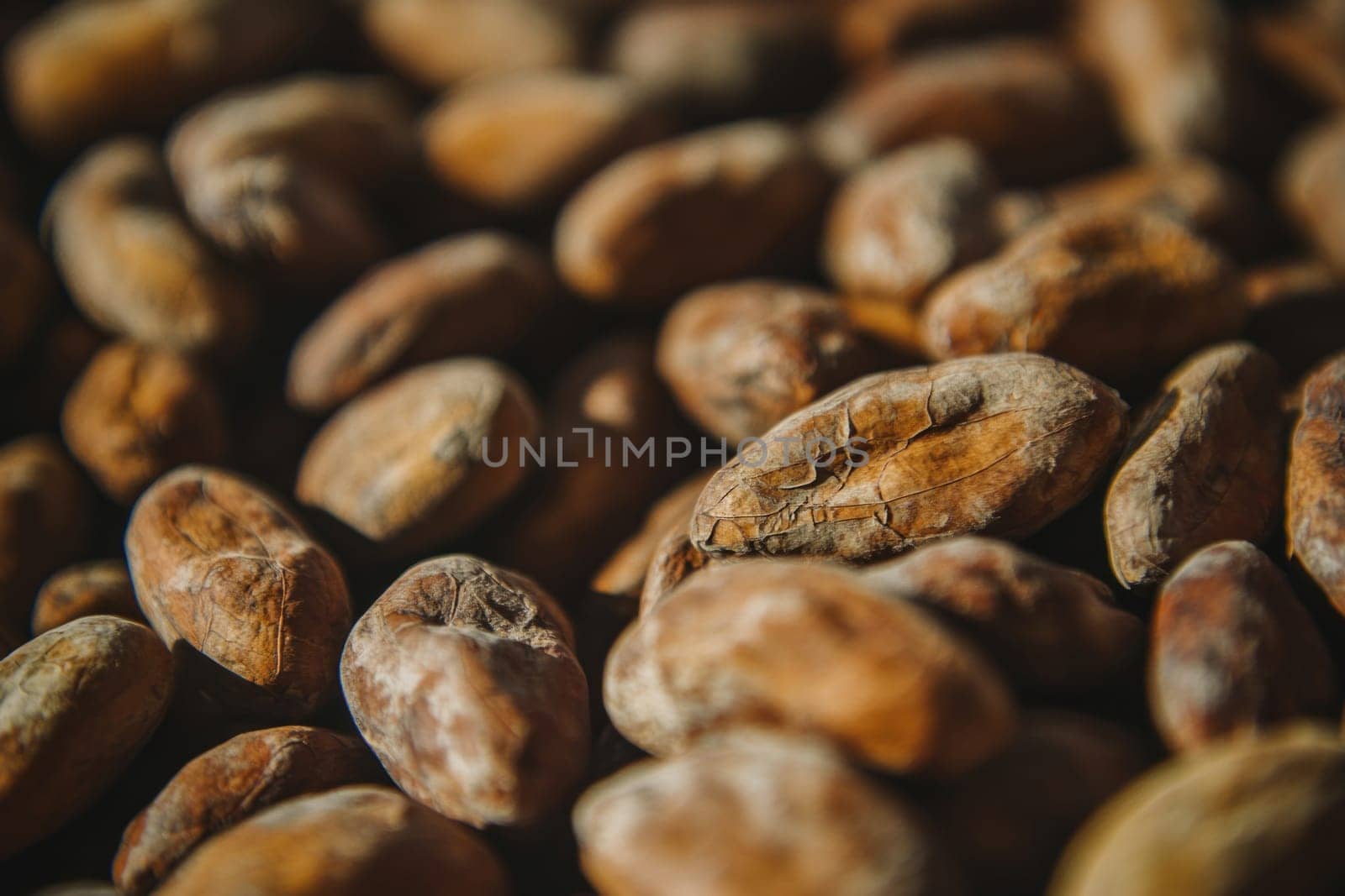 Closeup of drying cocoa beans, revealing texture and wrinkles, ready for chocolate production