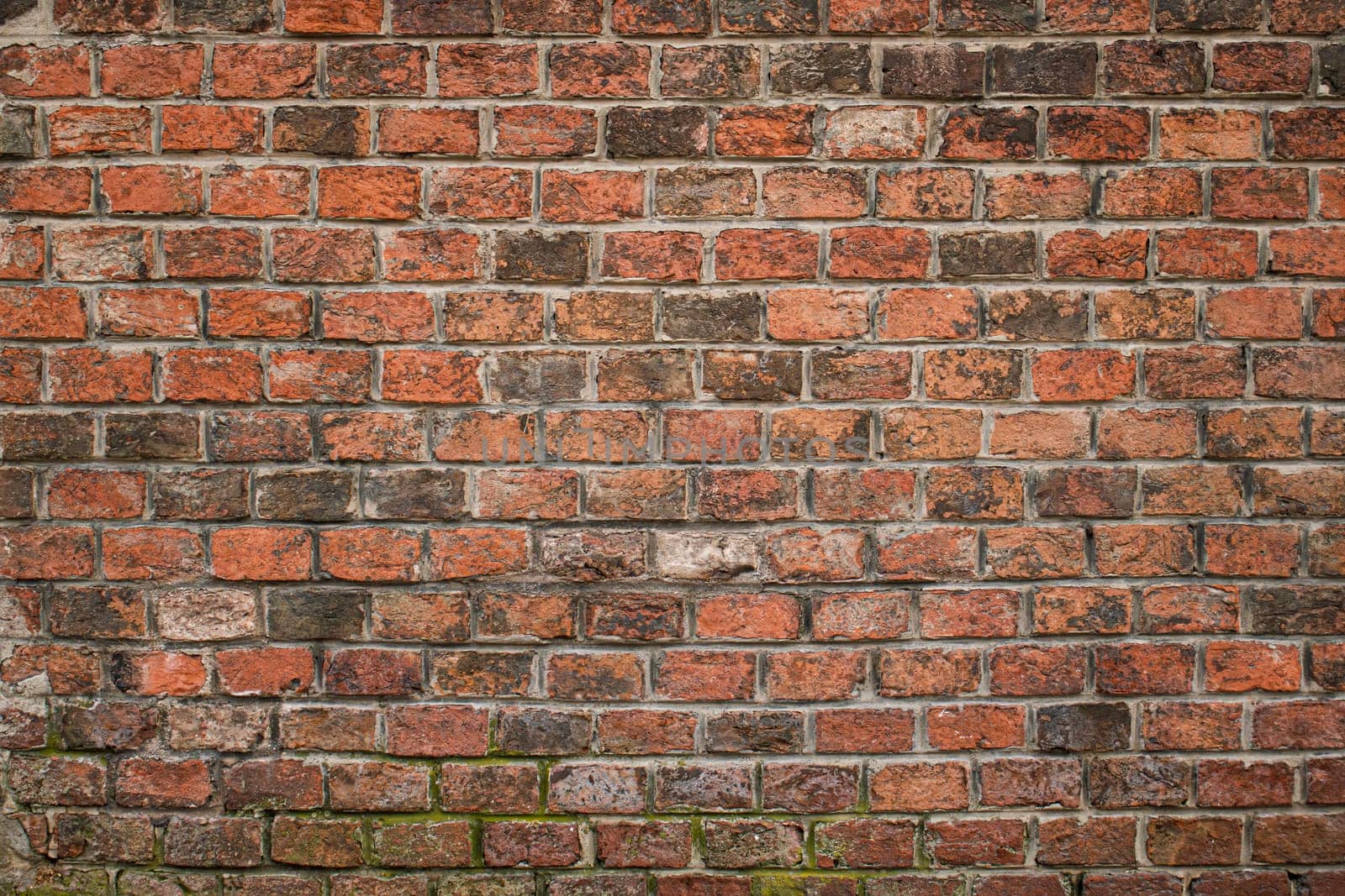 A detailed view of an aged red brick wall showcasing rich textures, color variations, and natural weathering. The image highlights the rough surface and uneven brick layout, giving a rustic, industrial feel suitable for backgrounds or architectural themes.