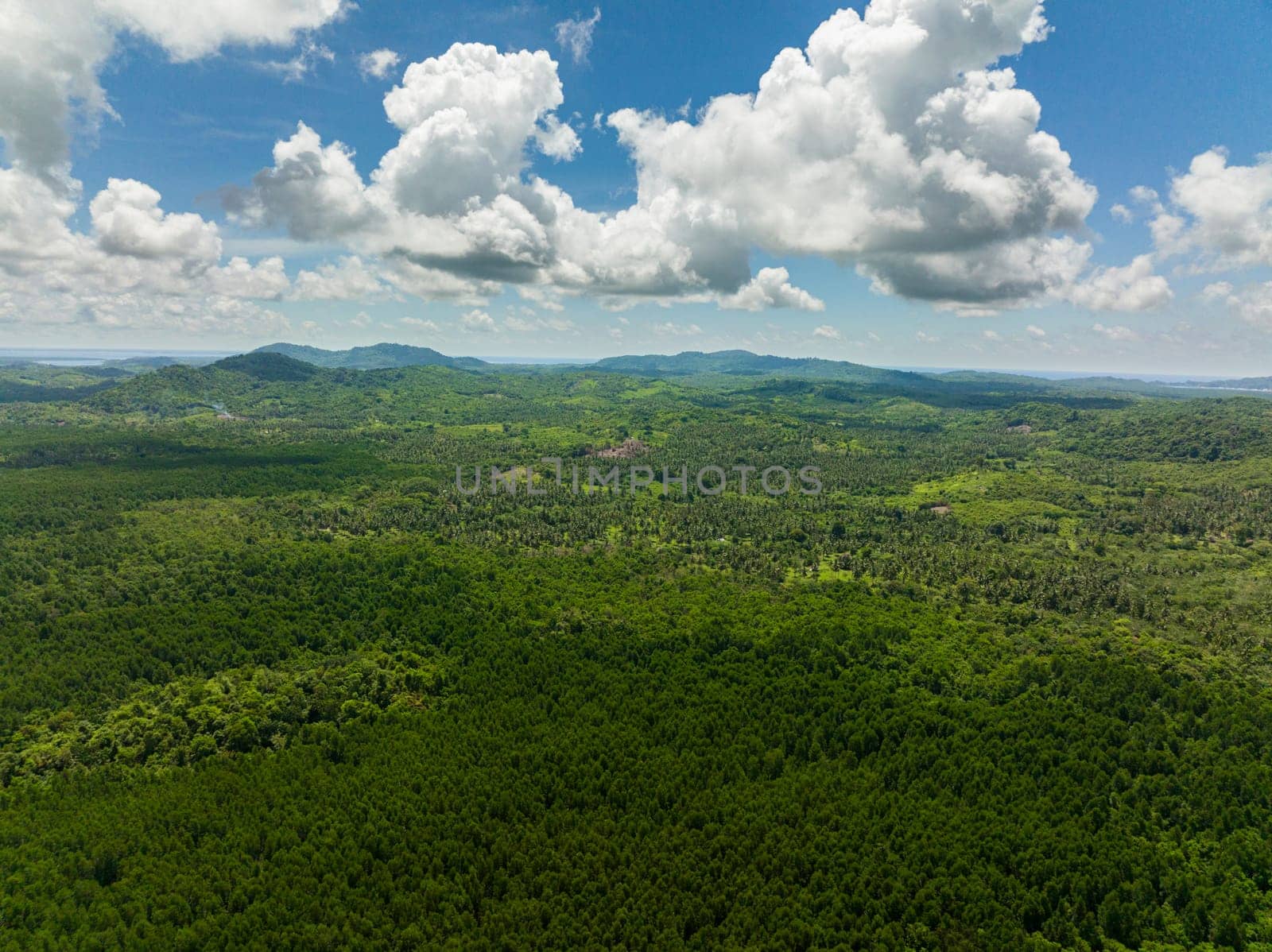 Top view of mountains with rainforest and jungle in the mountainous province. Balabac, Palawan. Philippines.