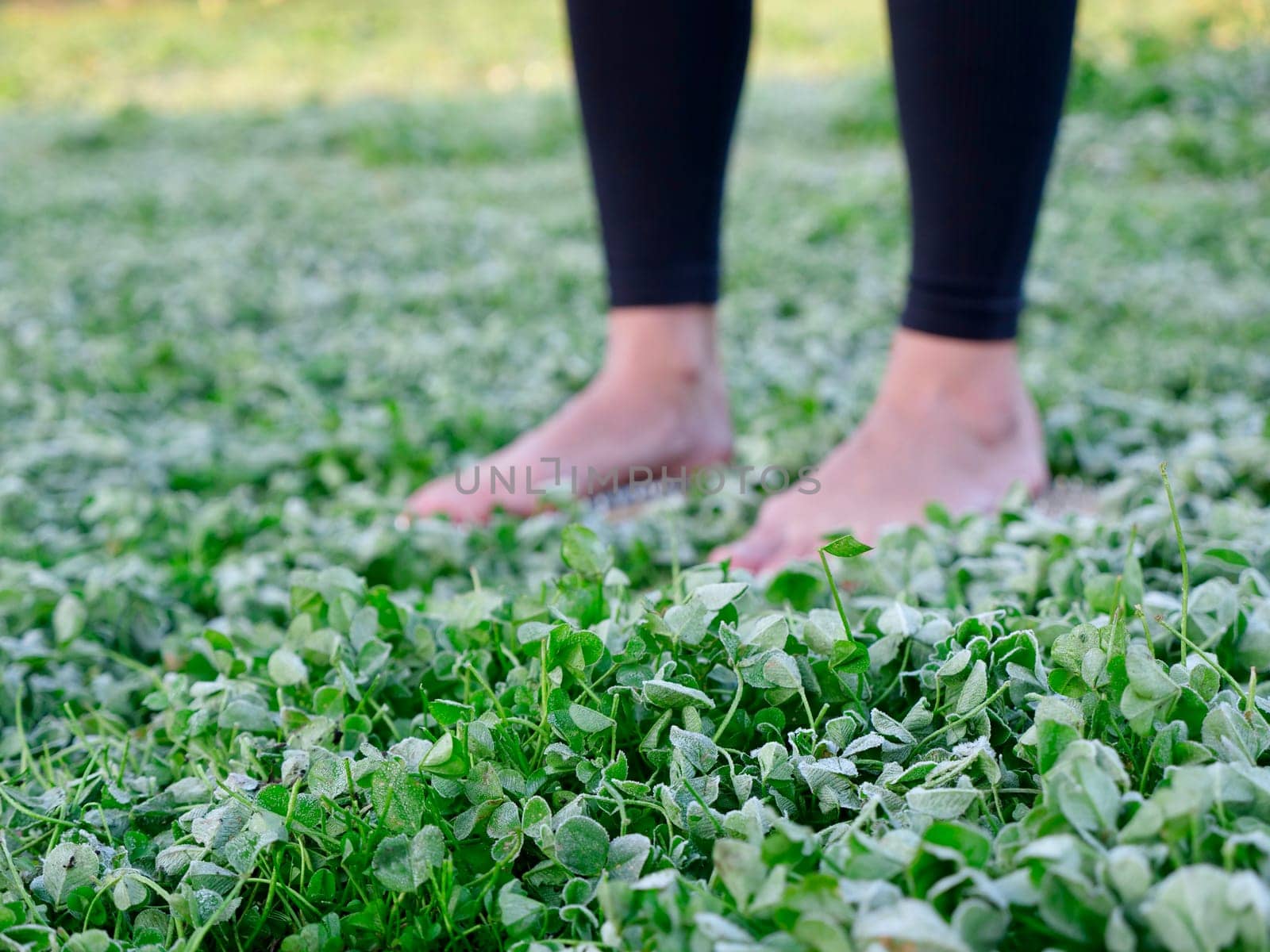 A barefoot woman stands on nails sadha board among the grass. Spiritual practice meditation in nature. Close-up