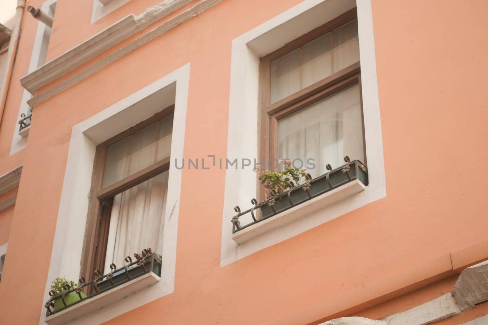 The building has a colorful exterior with picturesque windows adorned with vibrant plants