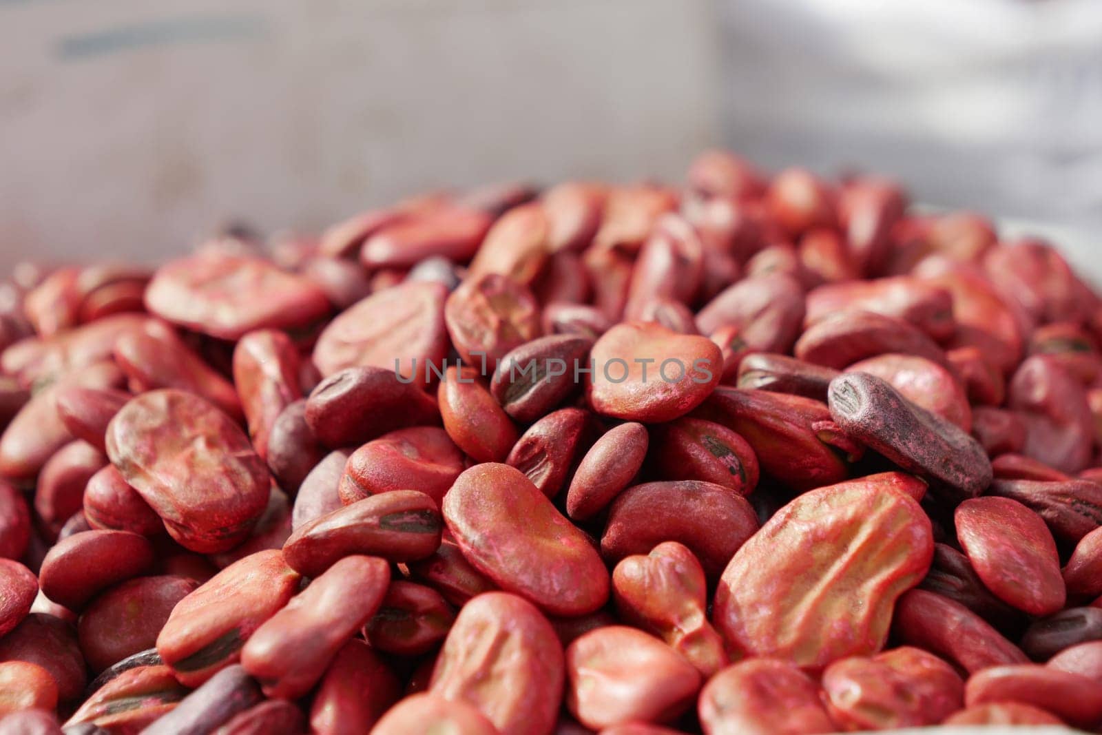 Closeup of red soy beans texture background