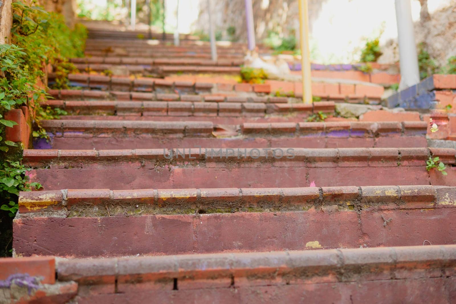 A stunning view of weathered brick stairs surrounded by vibrant, lush plants in a serene setting