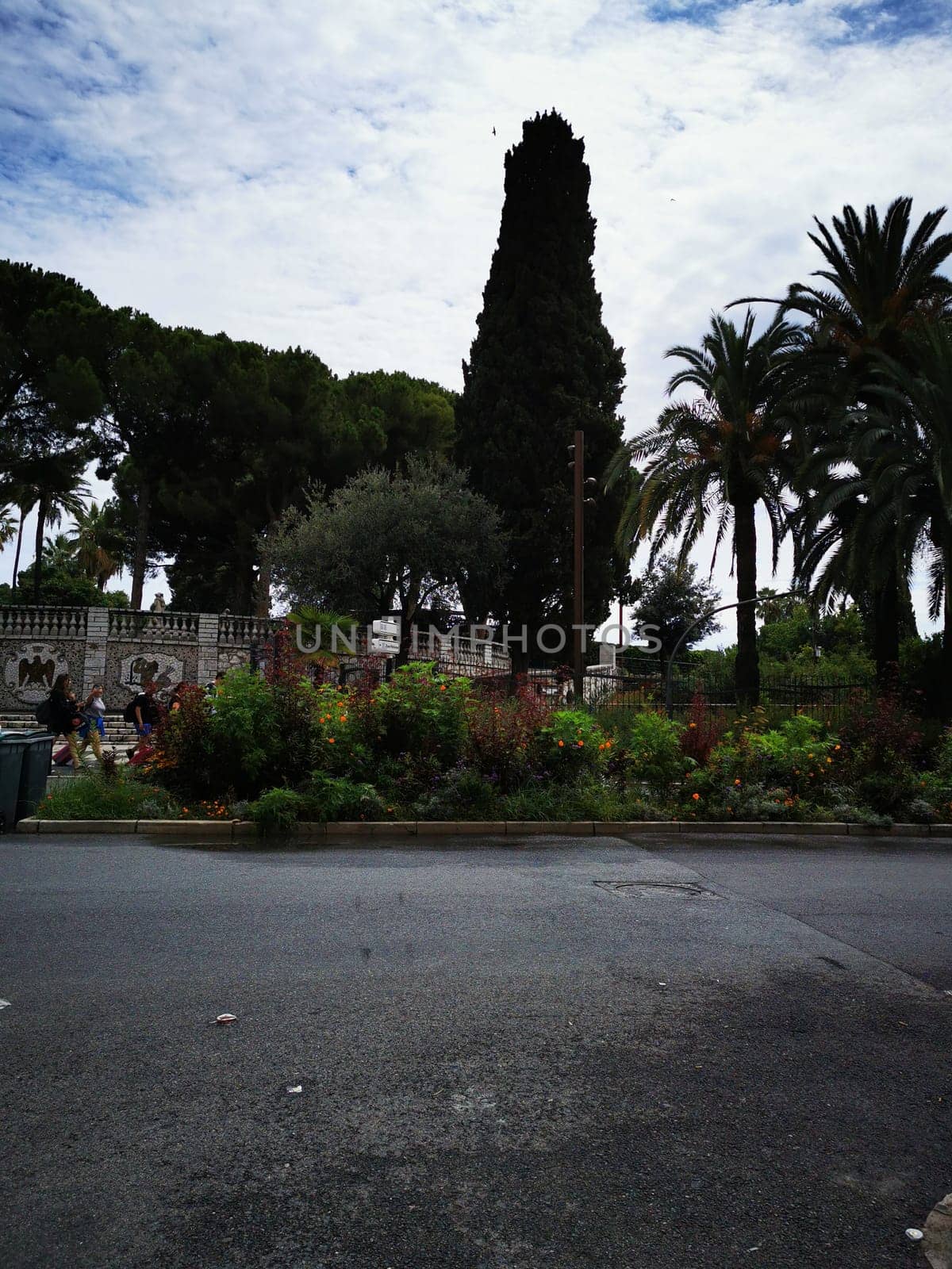 A scenic view showcases a colorful garden featuring a variety of plants and flowers, framed by towering palm trees and a majestic cypress, all set beside a quiet road.