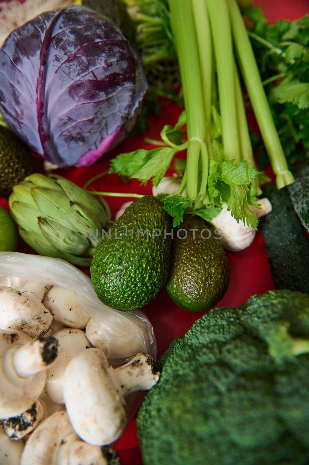 A vibrant display of fresh vegetables including cabbage, celery, avocados, mushrooms, and broccoli. Ideal for healthy eating and cooking inspiration.