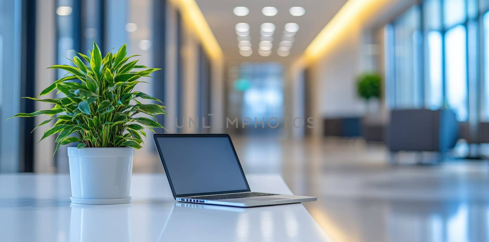 Cosy office: spacious layout, bright lighting, green accents, calming atmosphere, blank text space, modern decor, tranquil environment, natural elements, creative workspace, minimalist design