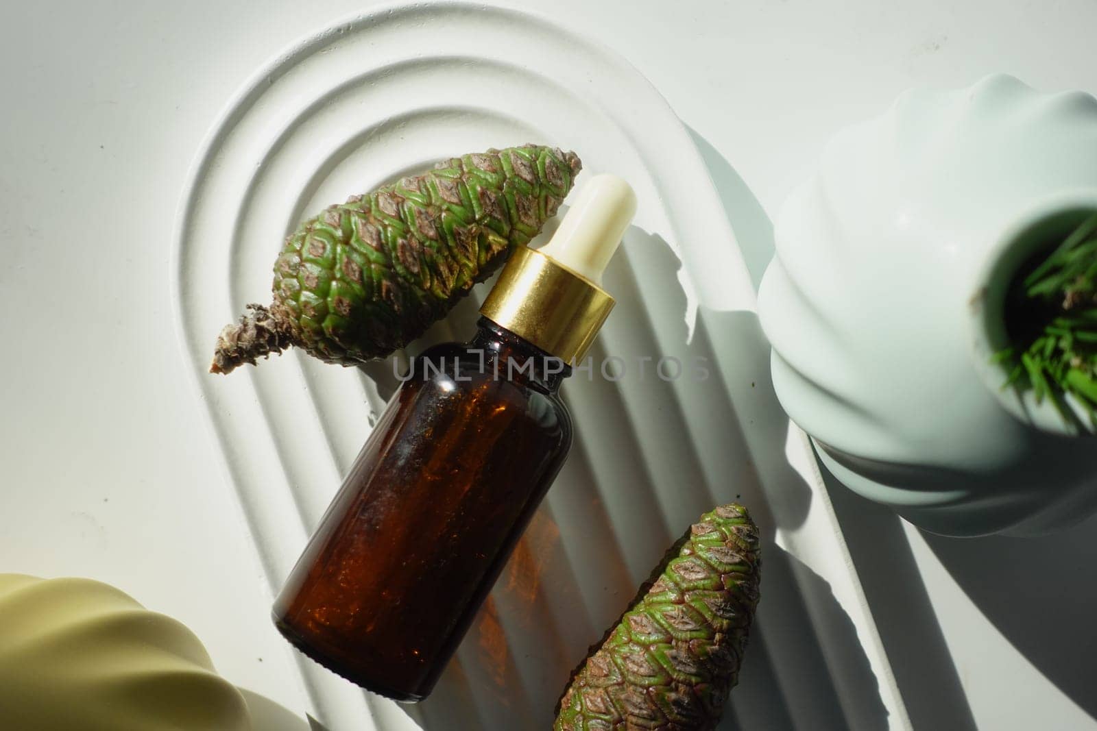 Bottle of pine essential oil and tree branch on white background.