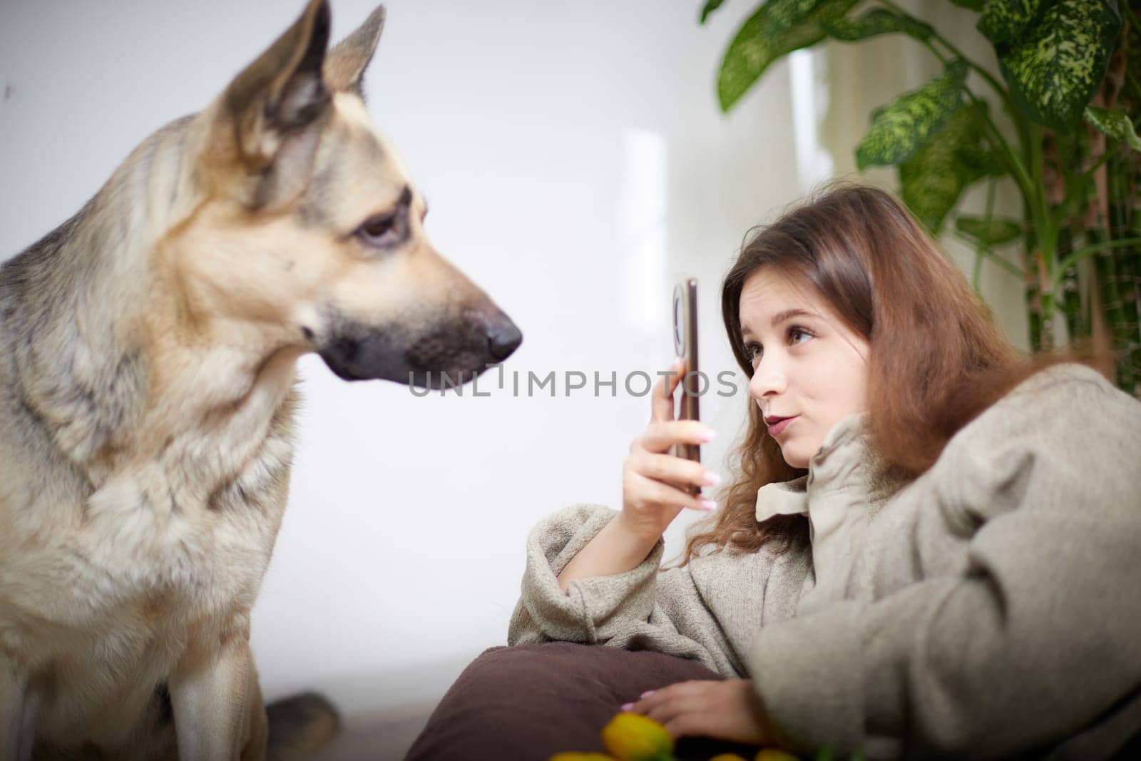 A woman comfortably engages with her German Shepherd in a relaxed indoor setting, enjoying quality time together.