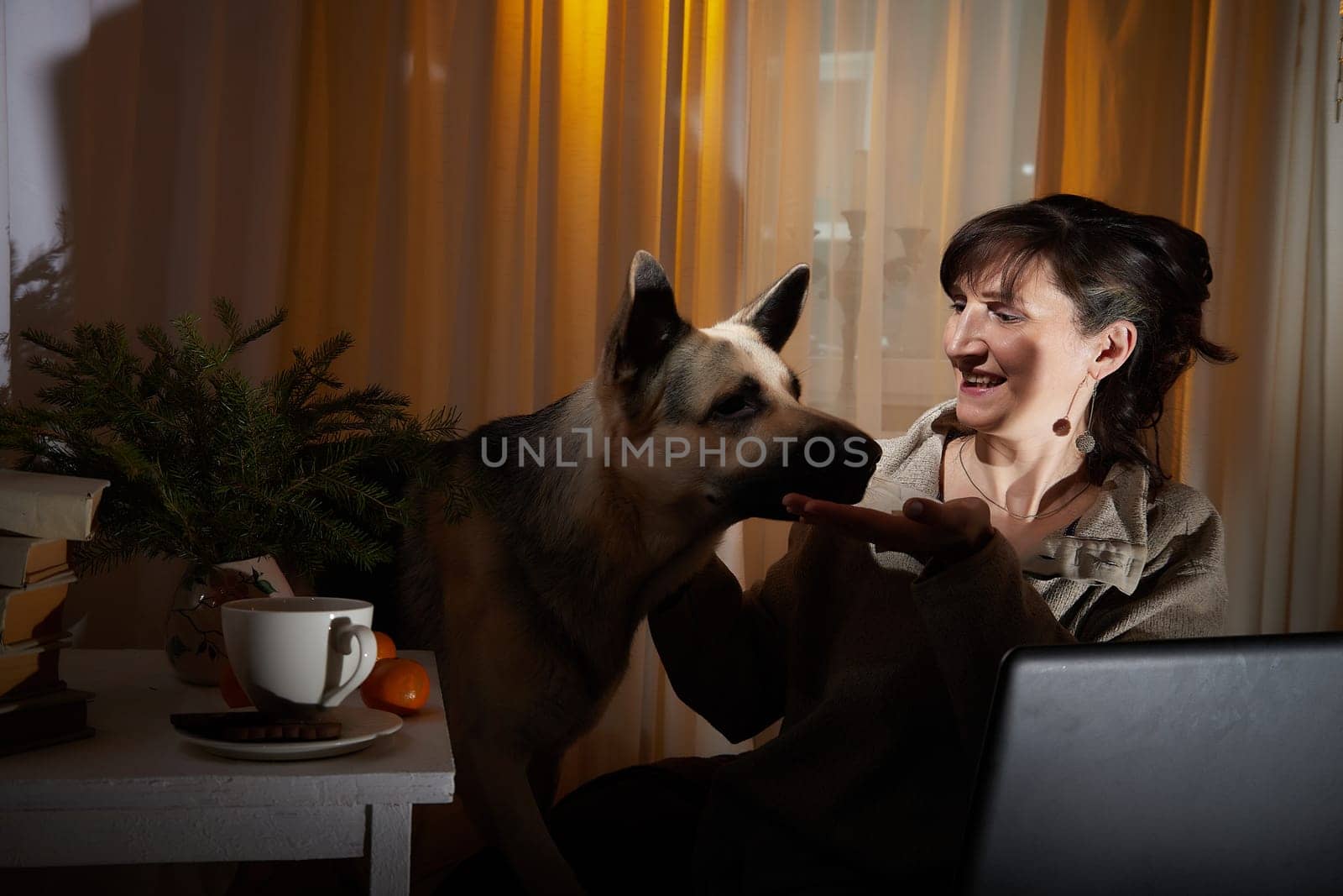 In a warm apartment, a middle-aged woman shares a joyful moment with her dog, creating a cozy and inviting evening ambiance filled with comfort.