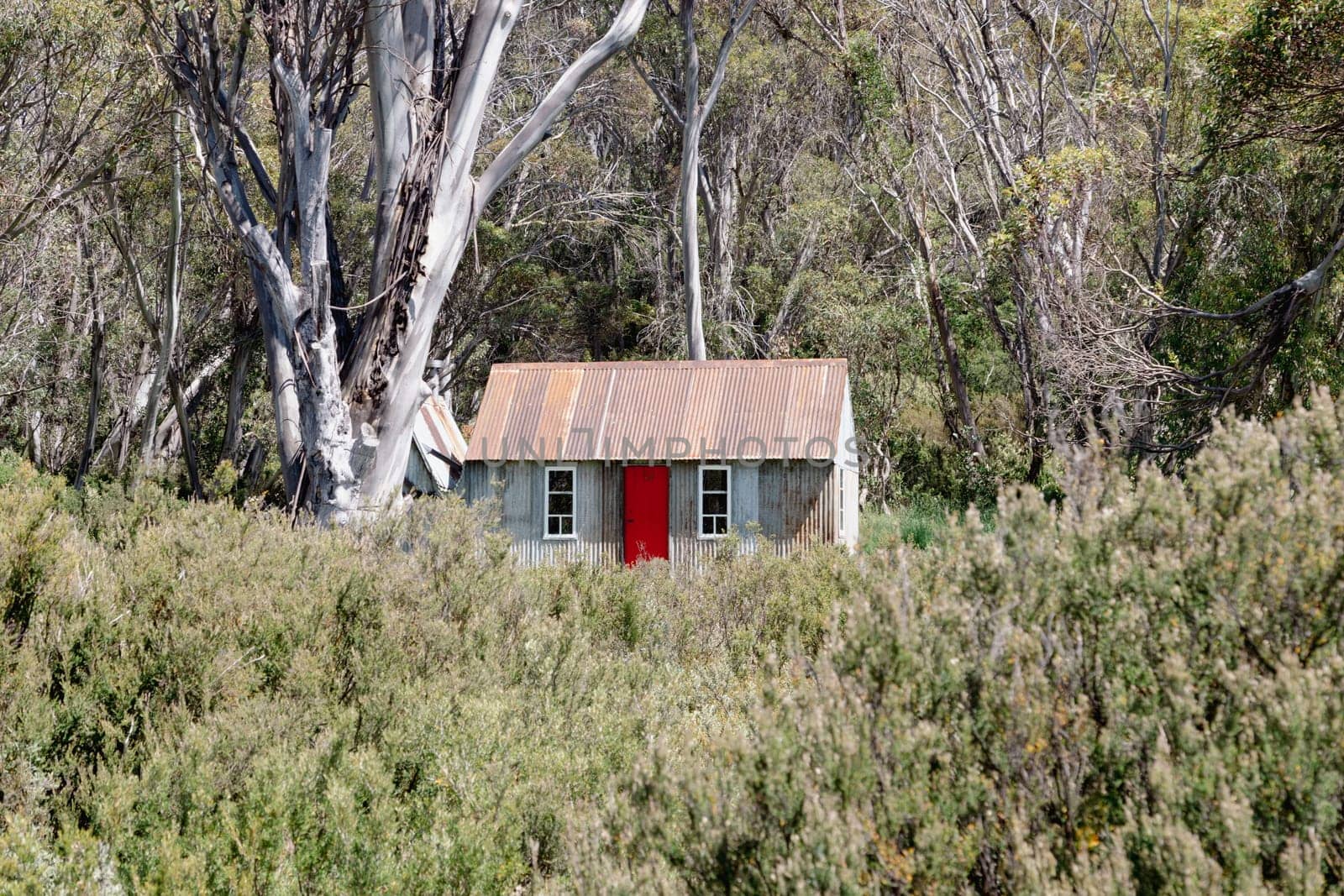 The historic Horse Camp Hut in Kosciuszko National Park near Schlink Pass on a clear summer's day, in the Snowy Mountains, New South Wales, Australia