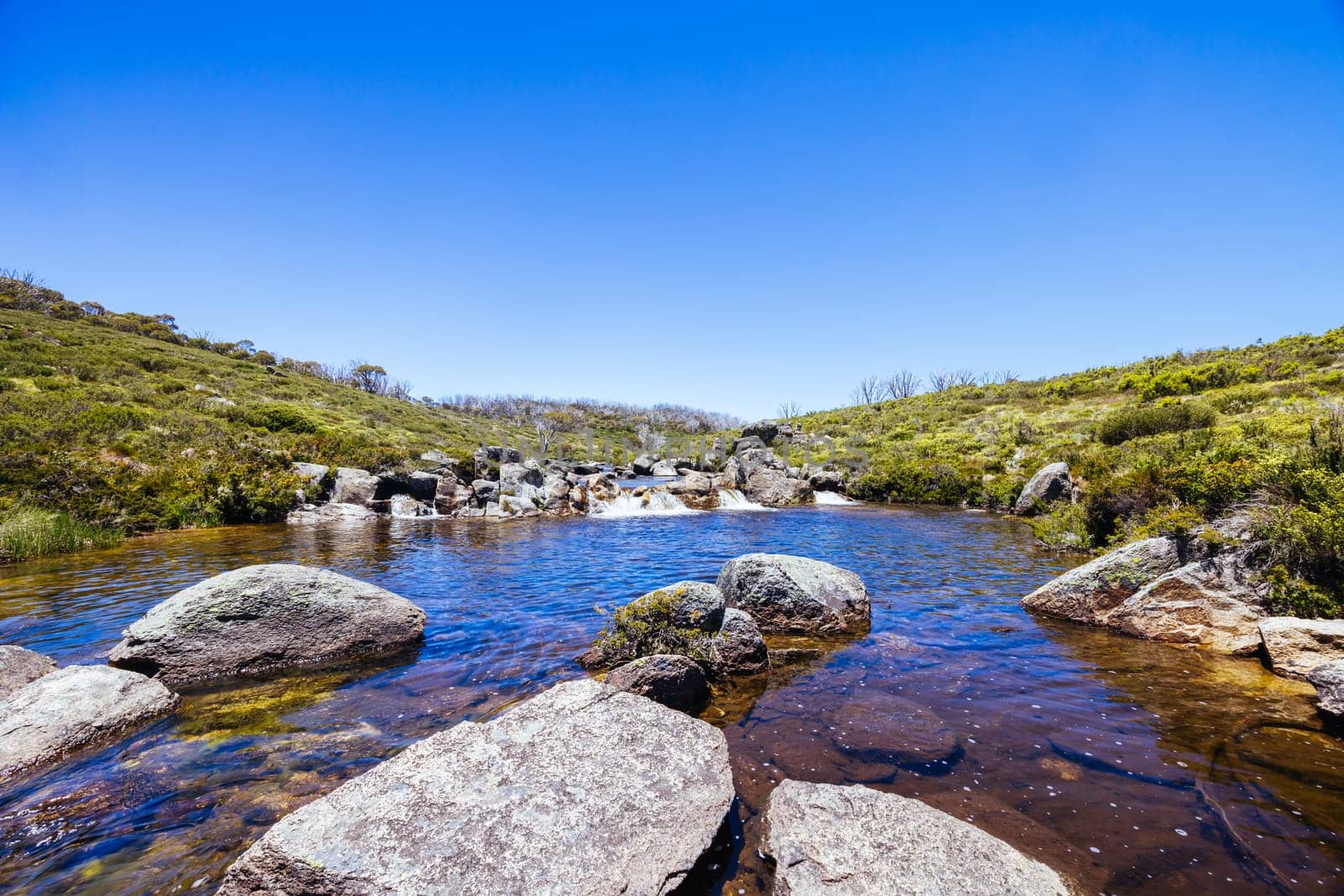 Landscape in Kosciuszko National Park near Valentine Hut on a clear summer's day, in the Snowy Mountains, New South Wales, Australia