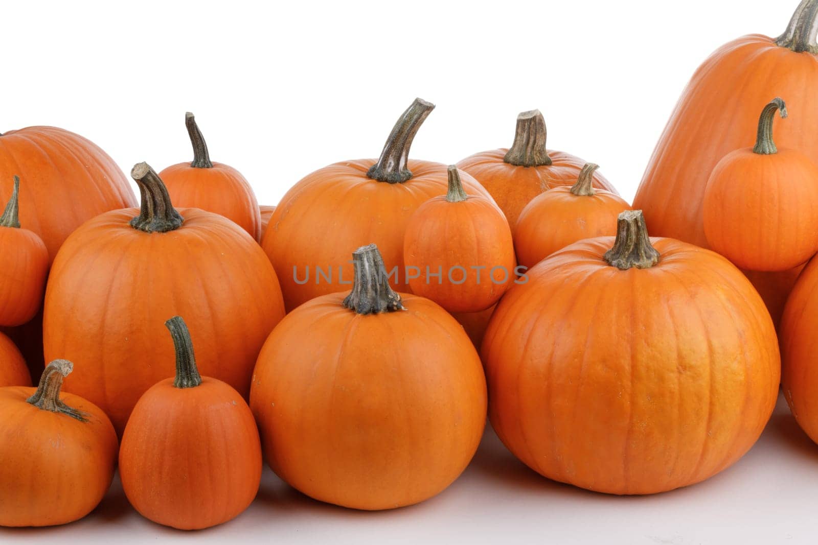 Many orange pumpkins frame isolated on white background, autumn harvest, Halloween or Thanksgiving concept