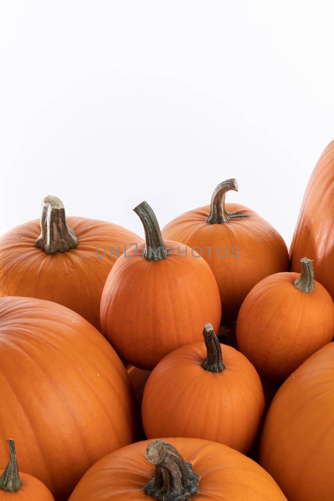 Many orange pumpkins frame isolated on white background, autumn harvest, Halloween or Thanksgiving concept