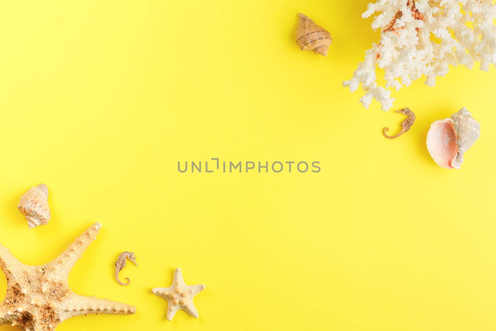 Seashells and starfish on yellow isolated background. Top view. Sandy beach concept. Corals and seahorses. Flat lay.