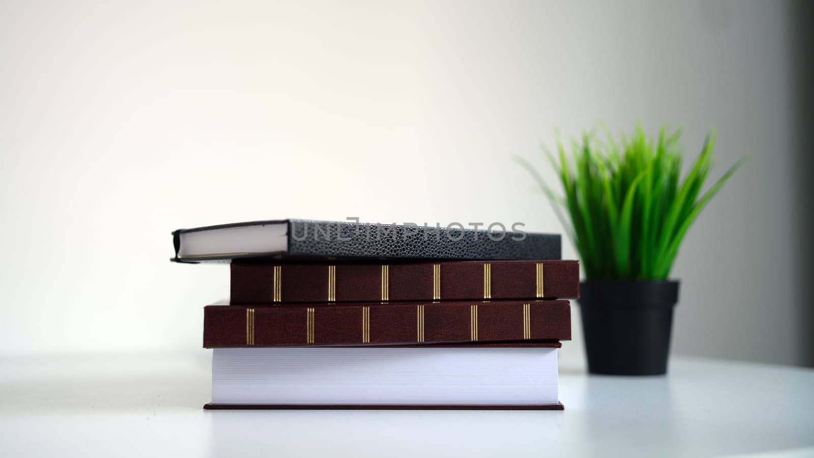 Enjoy a neat stack of books beside a vibrant green plant, perfect for enhancing your study area or home decor