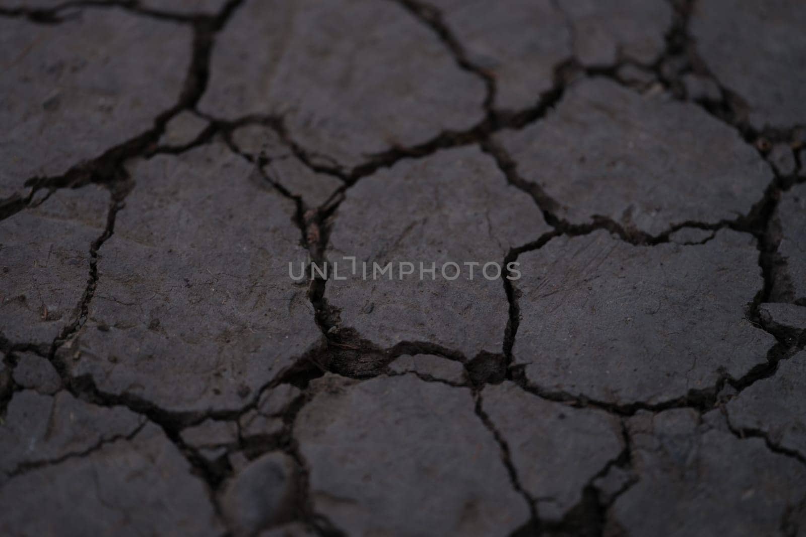 The cracked ground illustrates the severe impact of prolonged drought and ongoing environmental changes