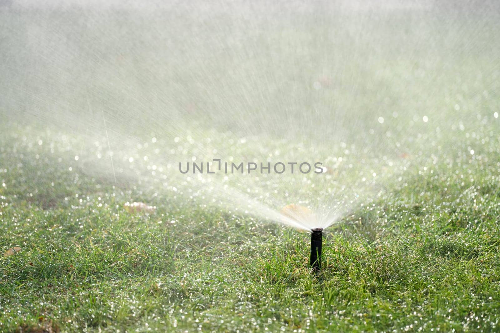 A closeup view of a lawn sprinkler effectively watering fresh, vibrant green grass on a sunny day outdoors