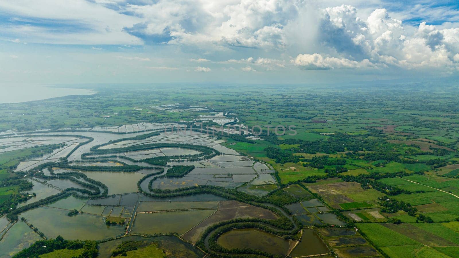 Aerial drone of farmland with rice fields and sugarcane. Negros, Philippines