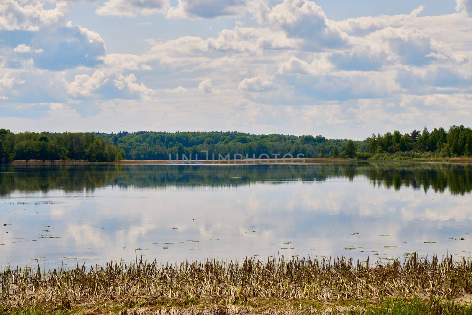 A serene and tranquil lake scene featuring beautiful reflections, lush greenery, and fluffy white clouds above