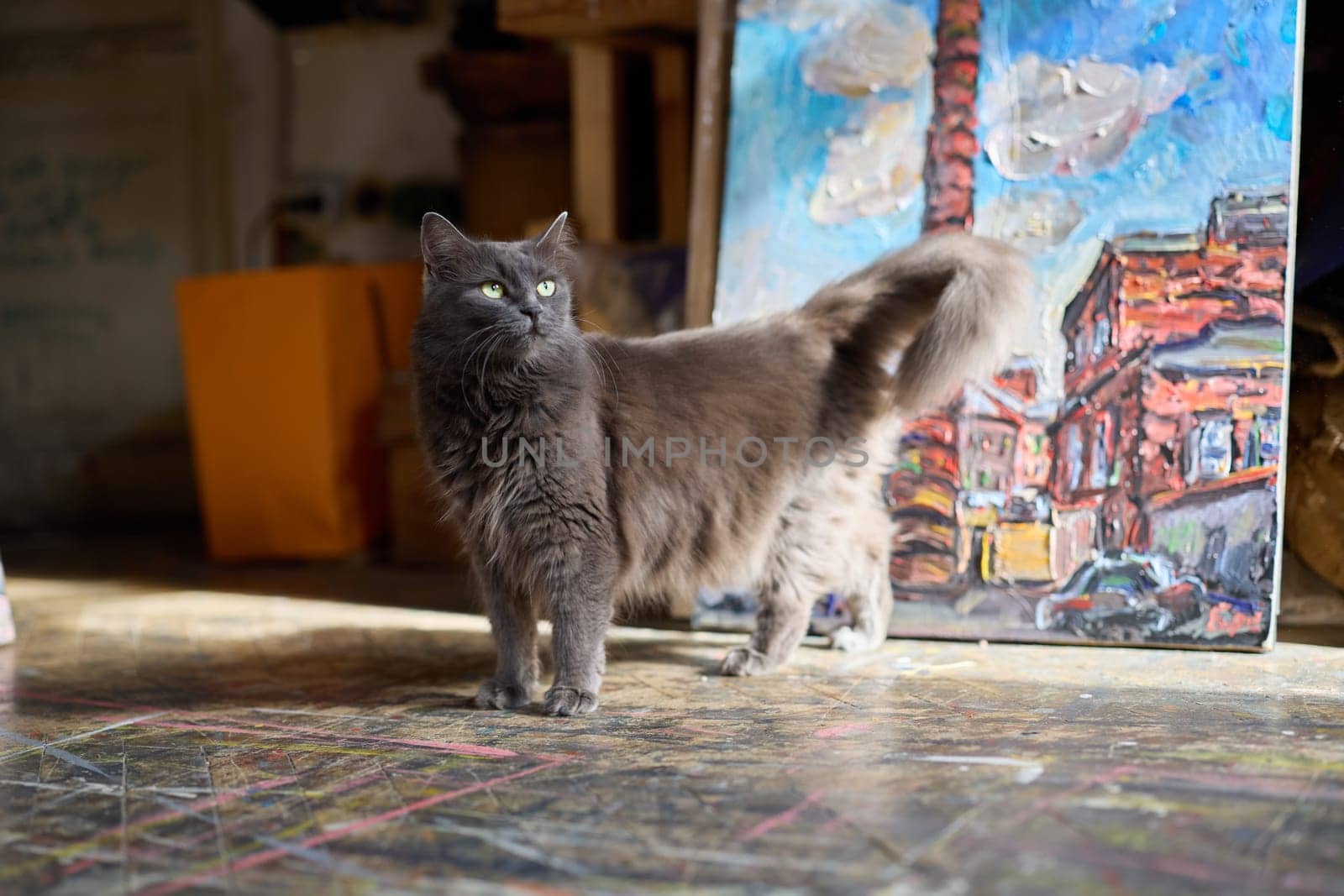 A playful gray cat stands proudly in a vibrant art studio filled with stunning artworks and a creative vibe