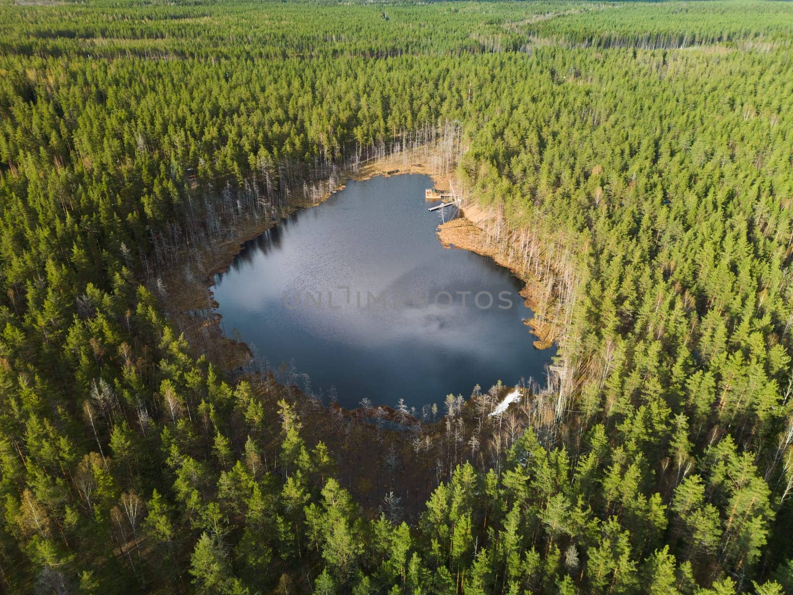 This aerial photograph captures the serene beauty of a tranquil lake amidst a dense pine forest landscape