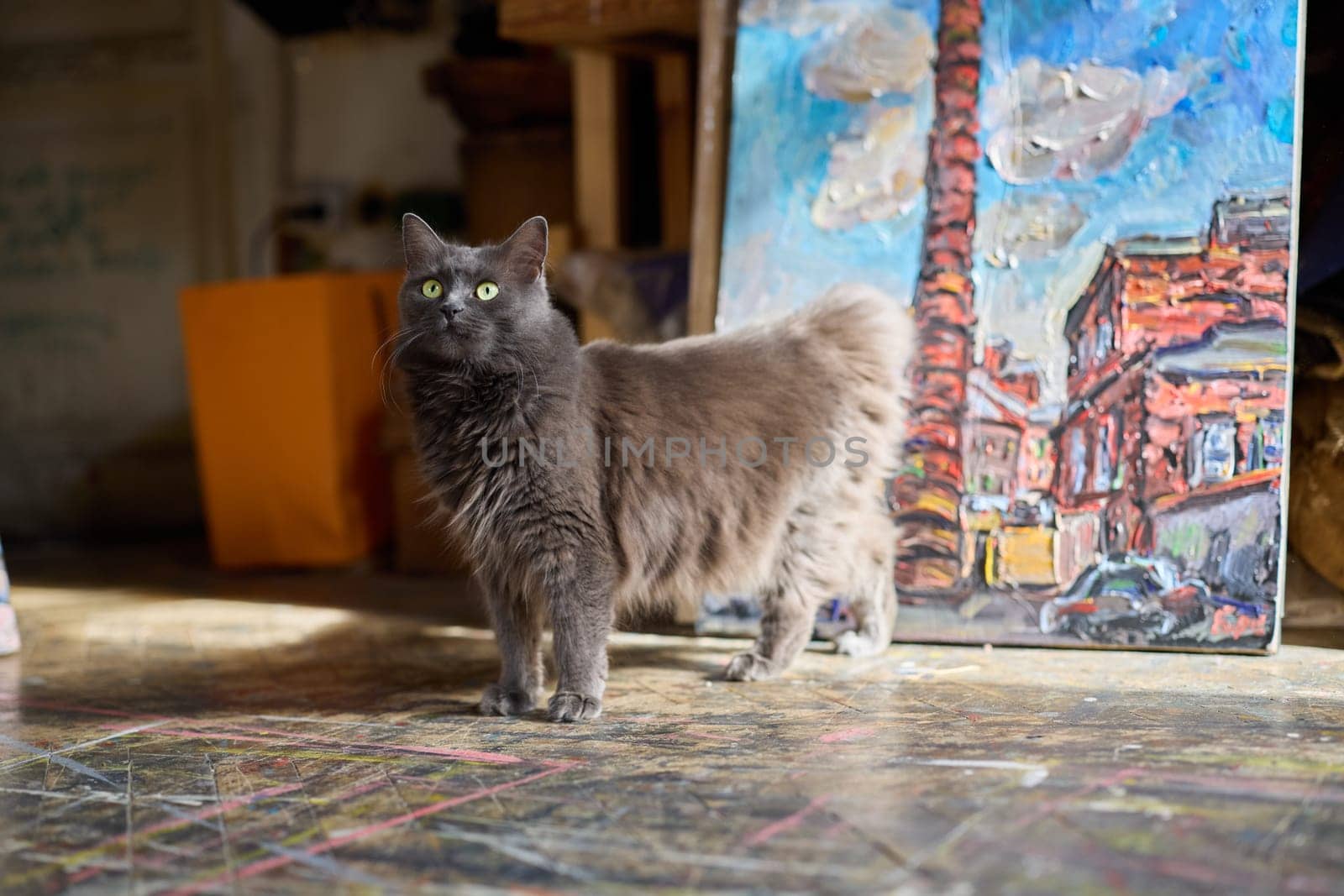 A fluffy cat is standing quite gracefully amidst a collection of vibrant and colorful artwork in an artists studio