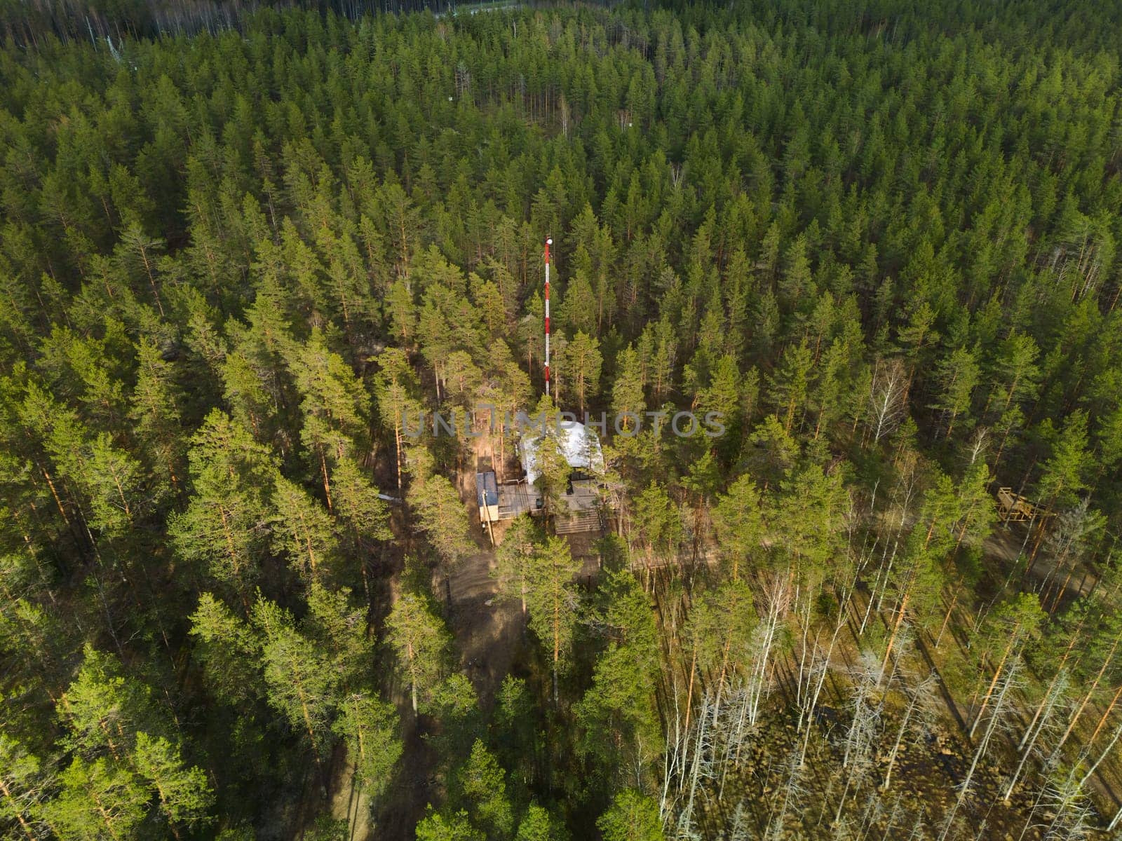 An aerial view of a lush forest showcasing a remote site equipped with various types of machinery and tools
