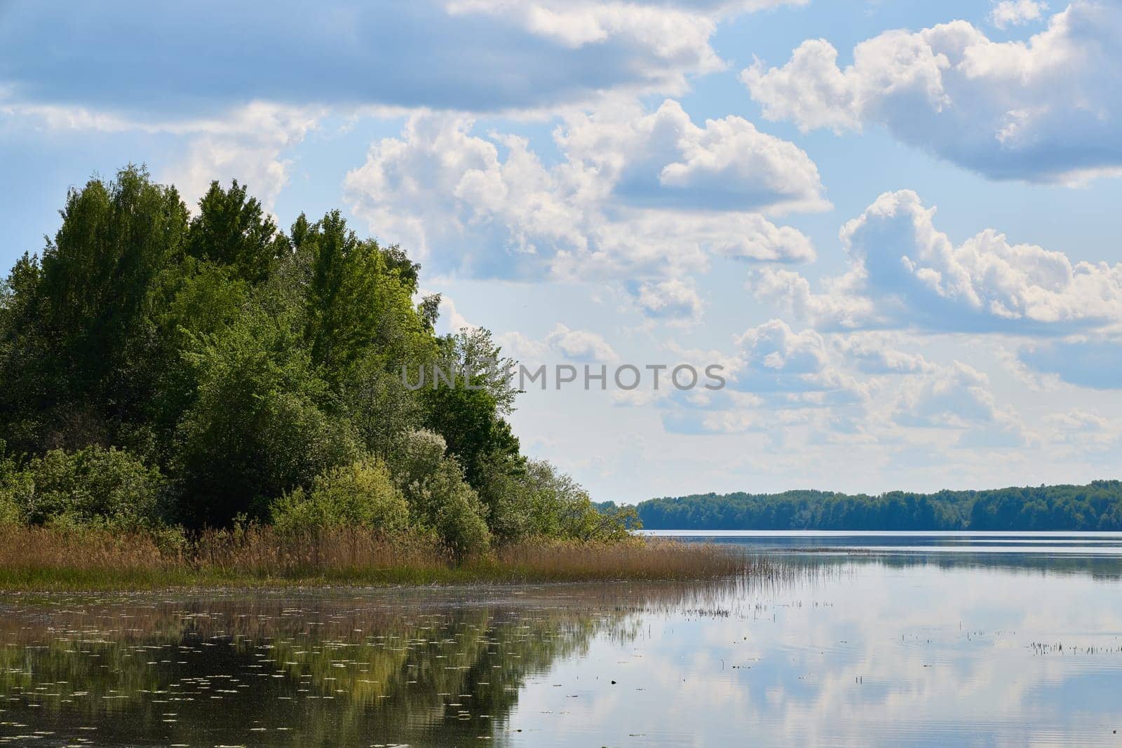 A tranquil lakeside scene showcasing lush, green trees and a vibrant, colorful sky, ideal for all nature lovers