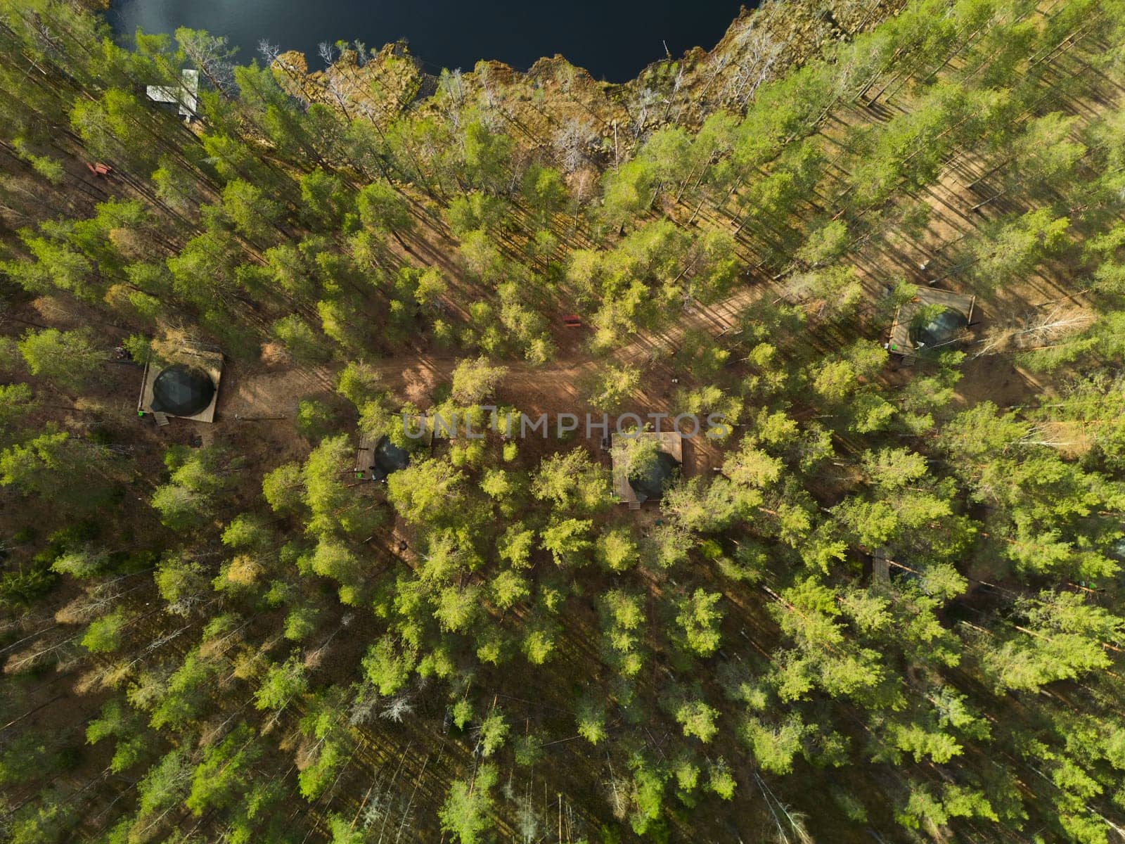 A breathtaking overhead shot captures a stunning view of a vibrant forest canopy alongside a serene water body