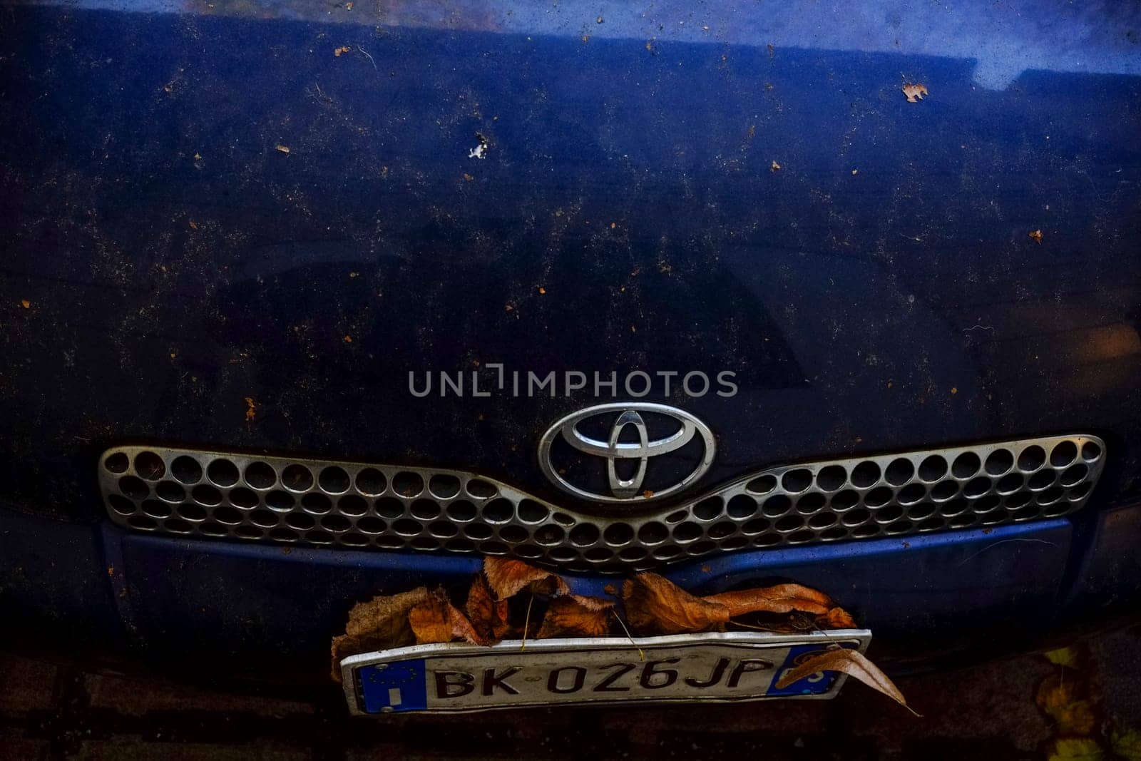 Cremona, Itally - October 6th 2024 Front view of a dirty blue toyota yaris with autumn leaves resting on the license plate, showcasing the effects of changing seasons
