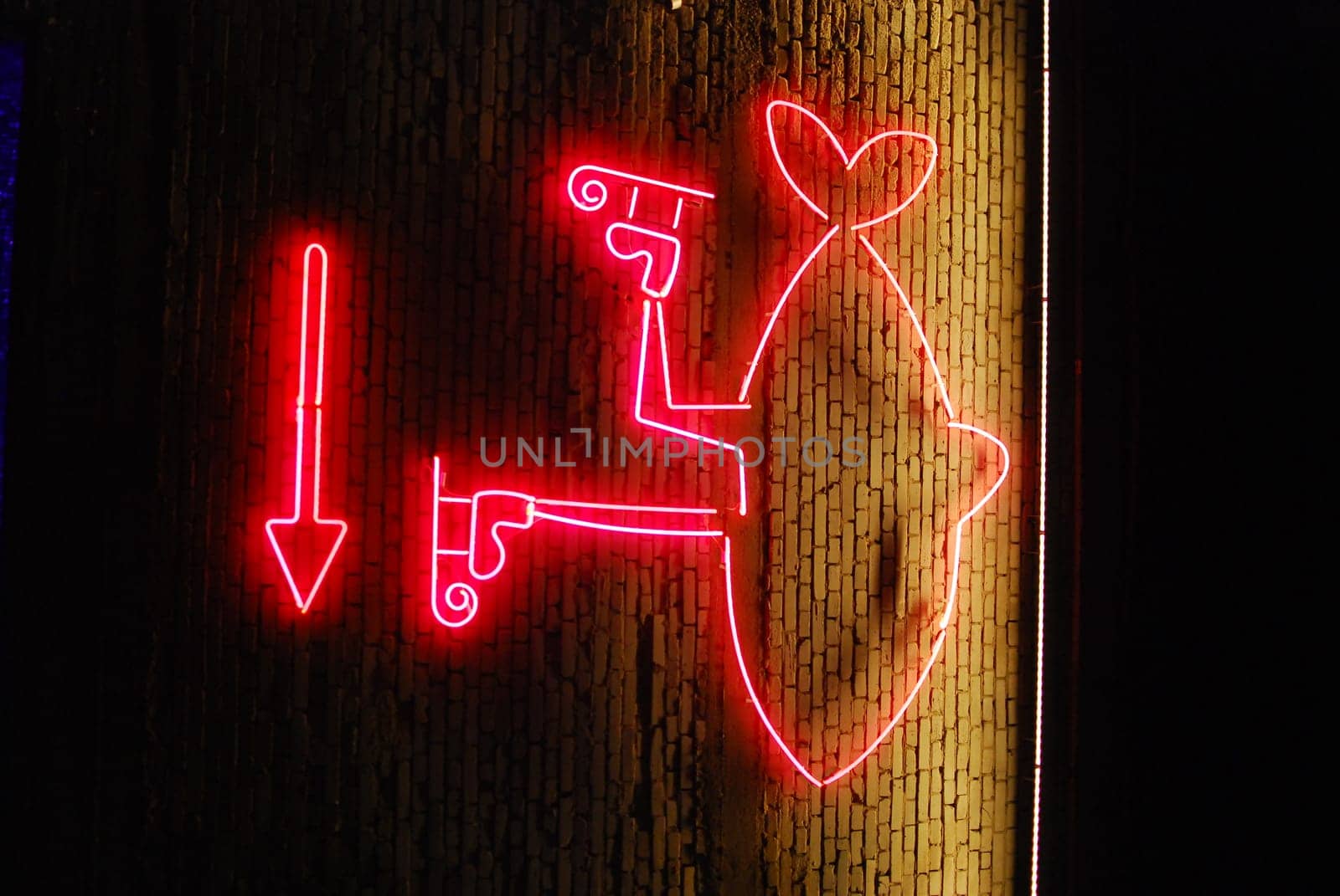 A colorful neon sign with a fish and arrow, creating a playful display that effectively attracts attention