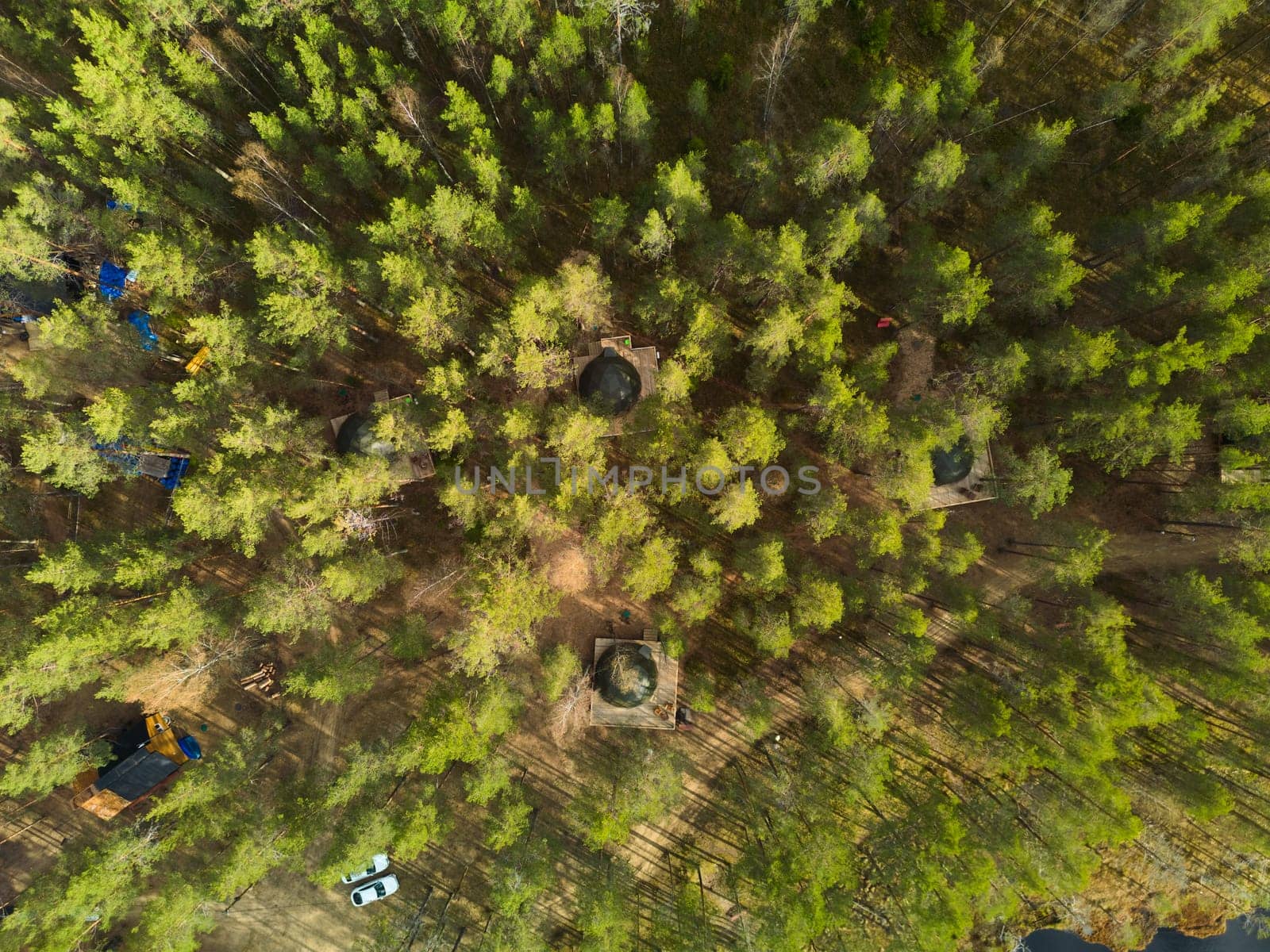 Stunning aerial view beautifully showcasing a dense forest filled with hidden charming cabins and vibrant greenery